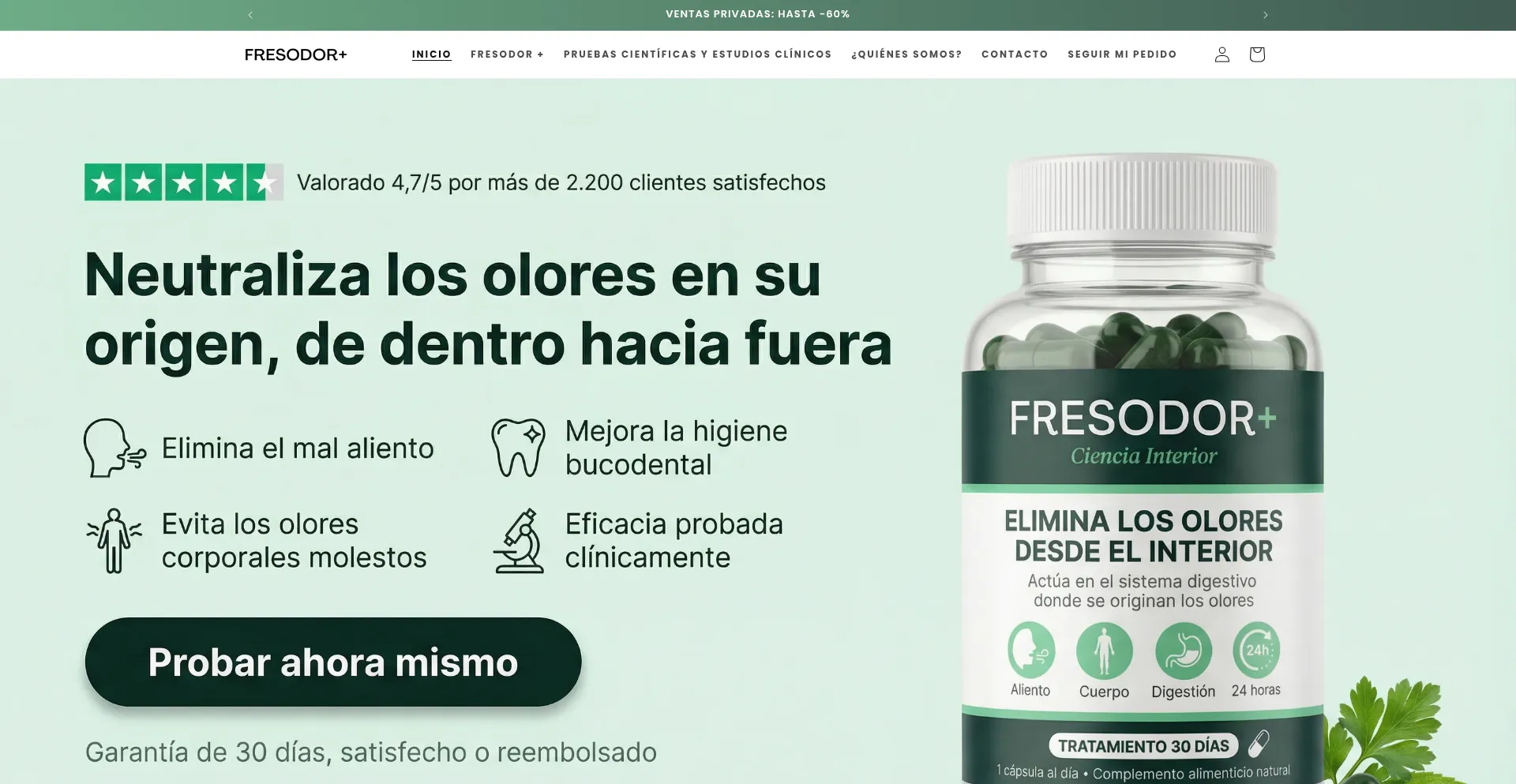 Fresodor.com