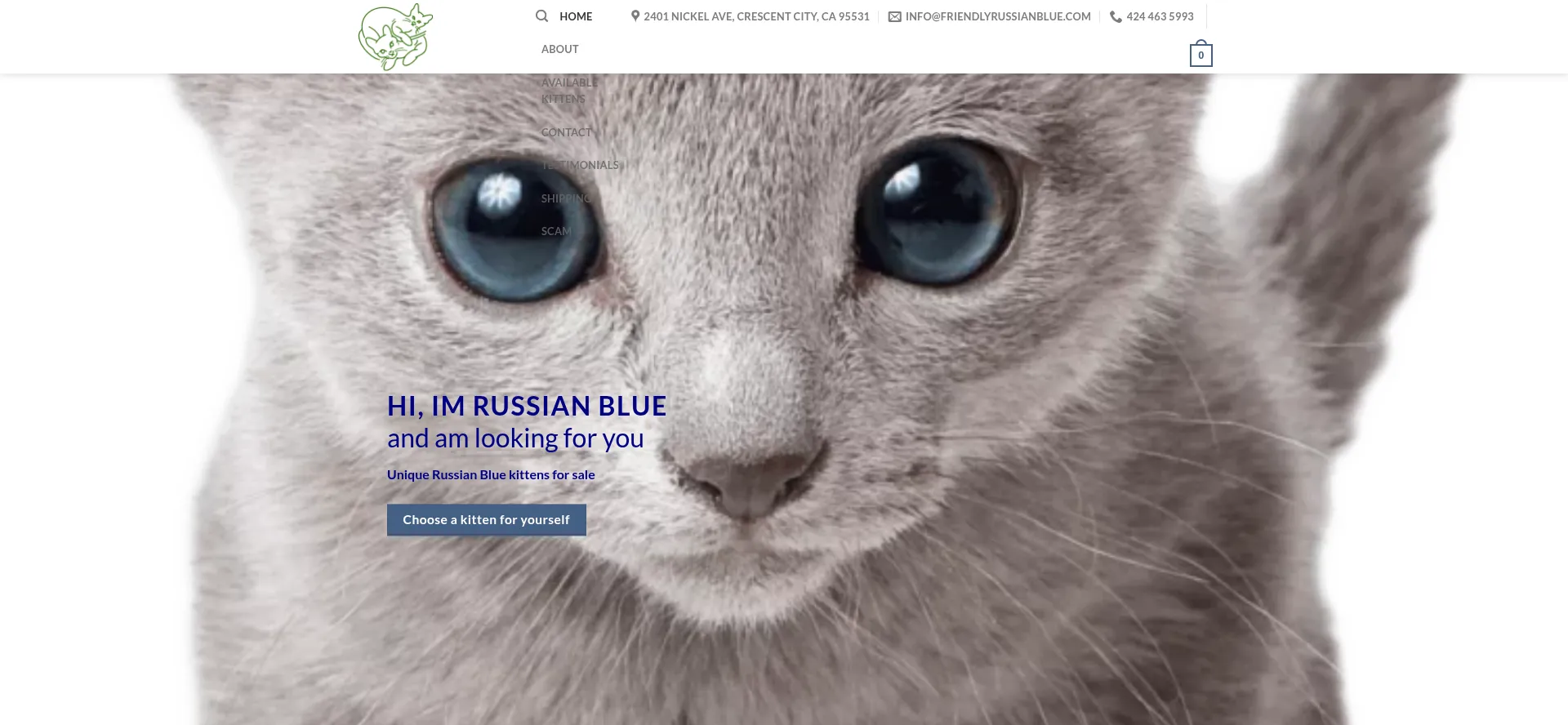 ¿És Seguro y Confiable Friendlyrussianblue.com?