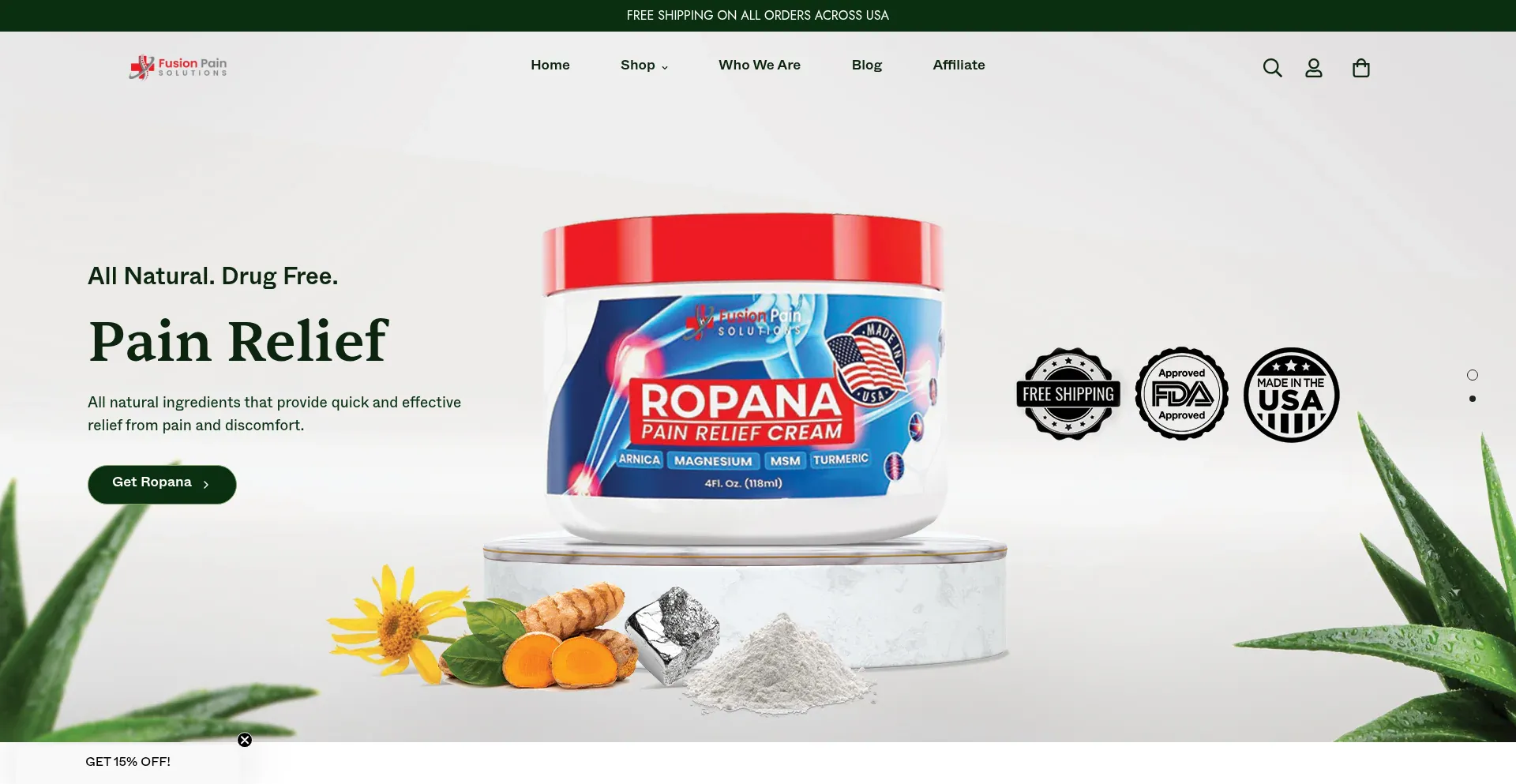 Website screenshot of Fusionpainsolutions.com