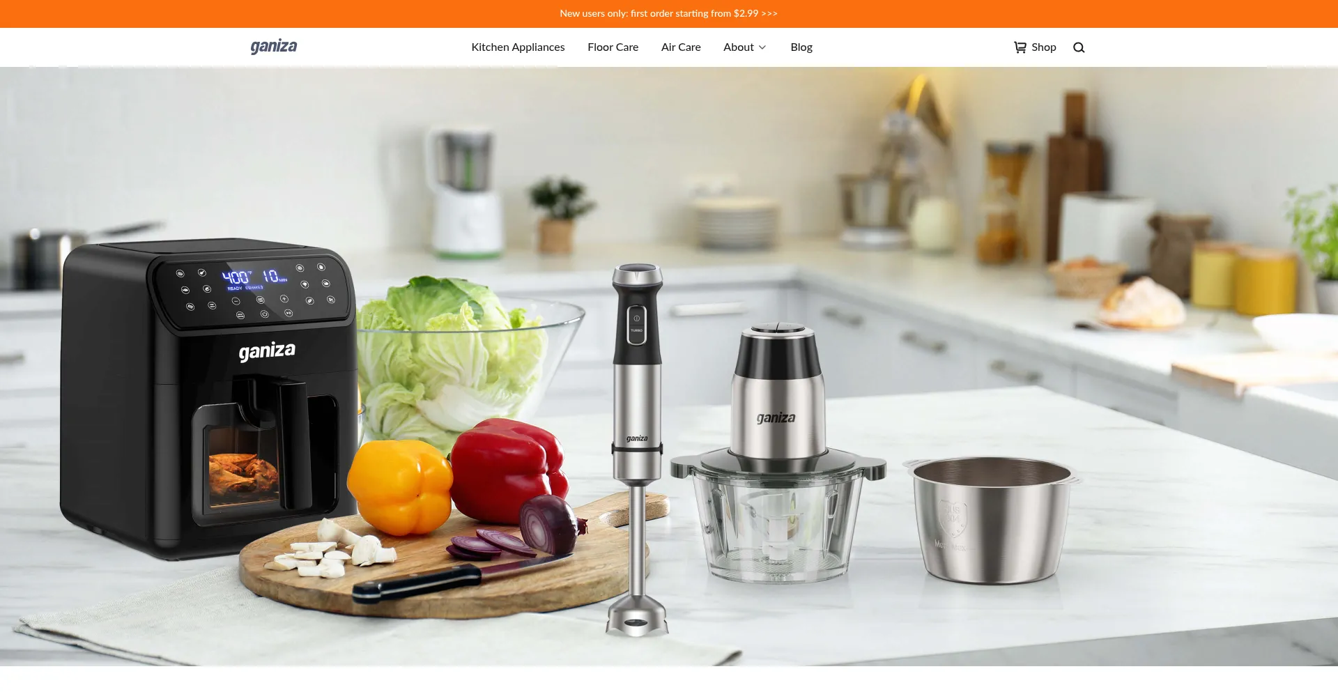 Website screenshot of Ganiza.com
