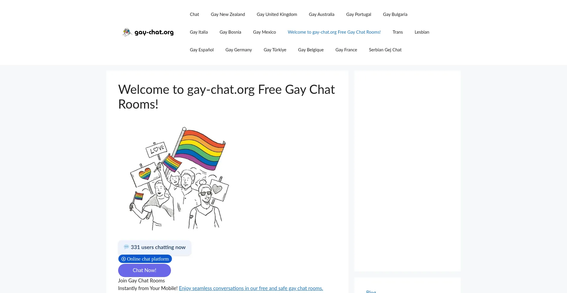 Website screenshot of Gay-chat.org