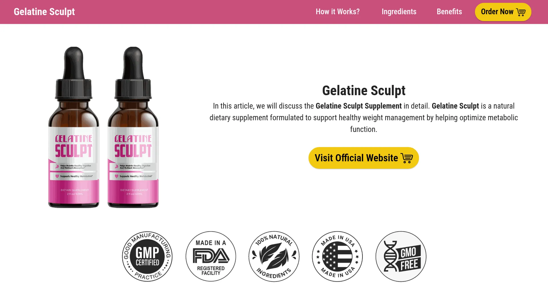 Gelatinesculptshop.com