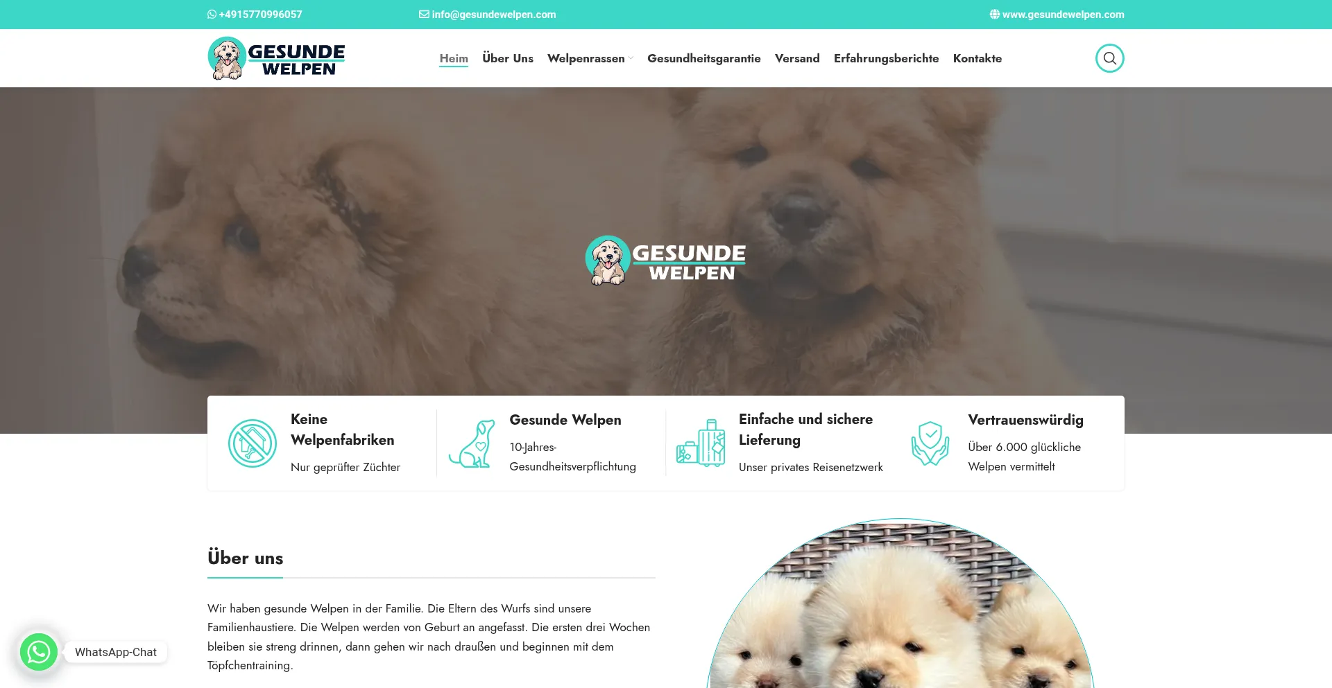 ¿És Seguro y Confiable Gesundewelpen.com?
