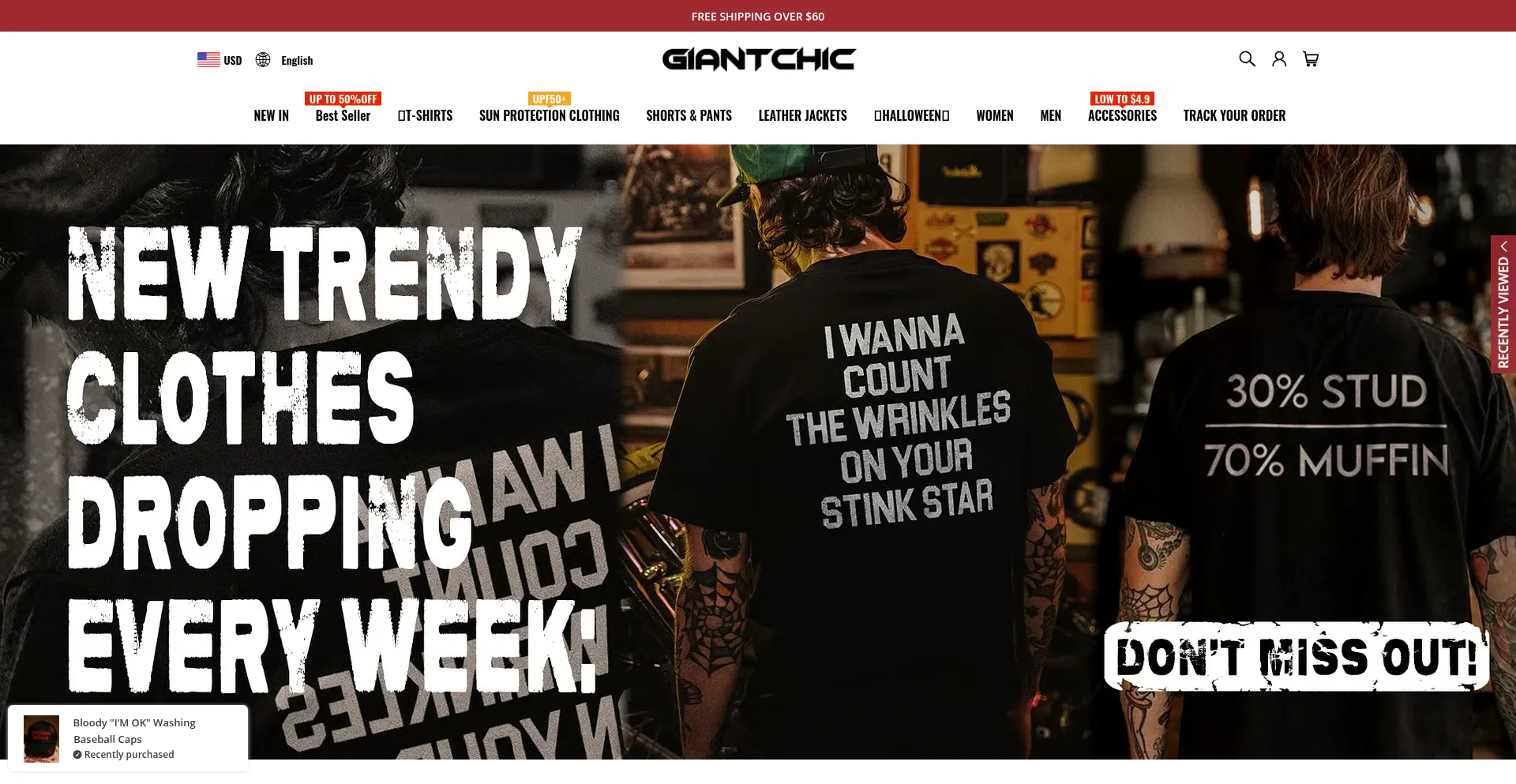 Website screenshot of Giantchic.com