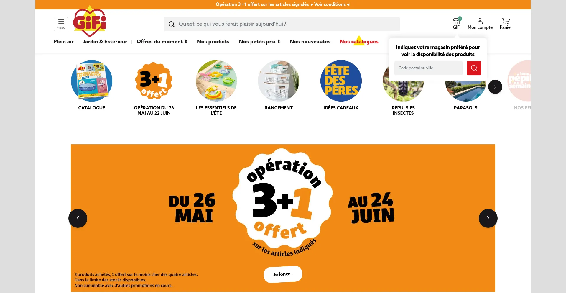 Website screenshot of Gifi.fr