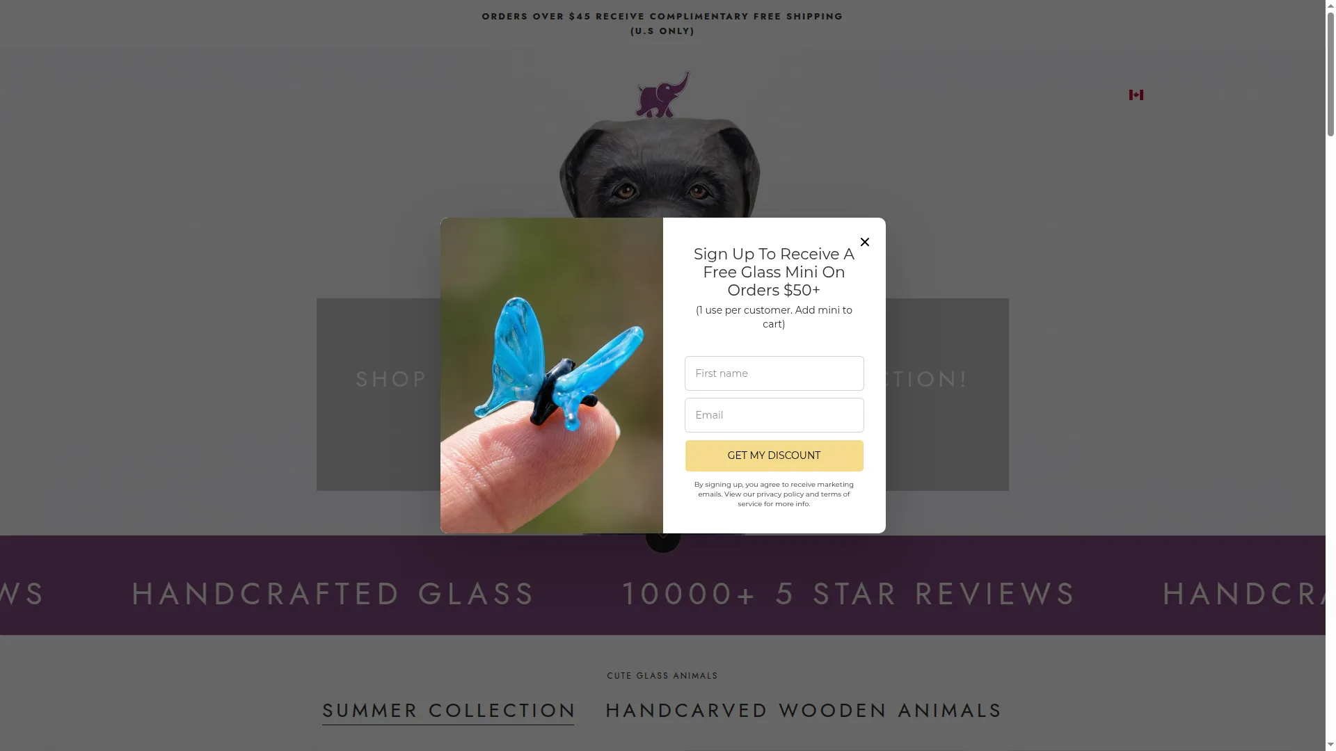 Glassflowerboutique.com