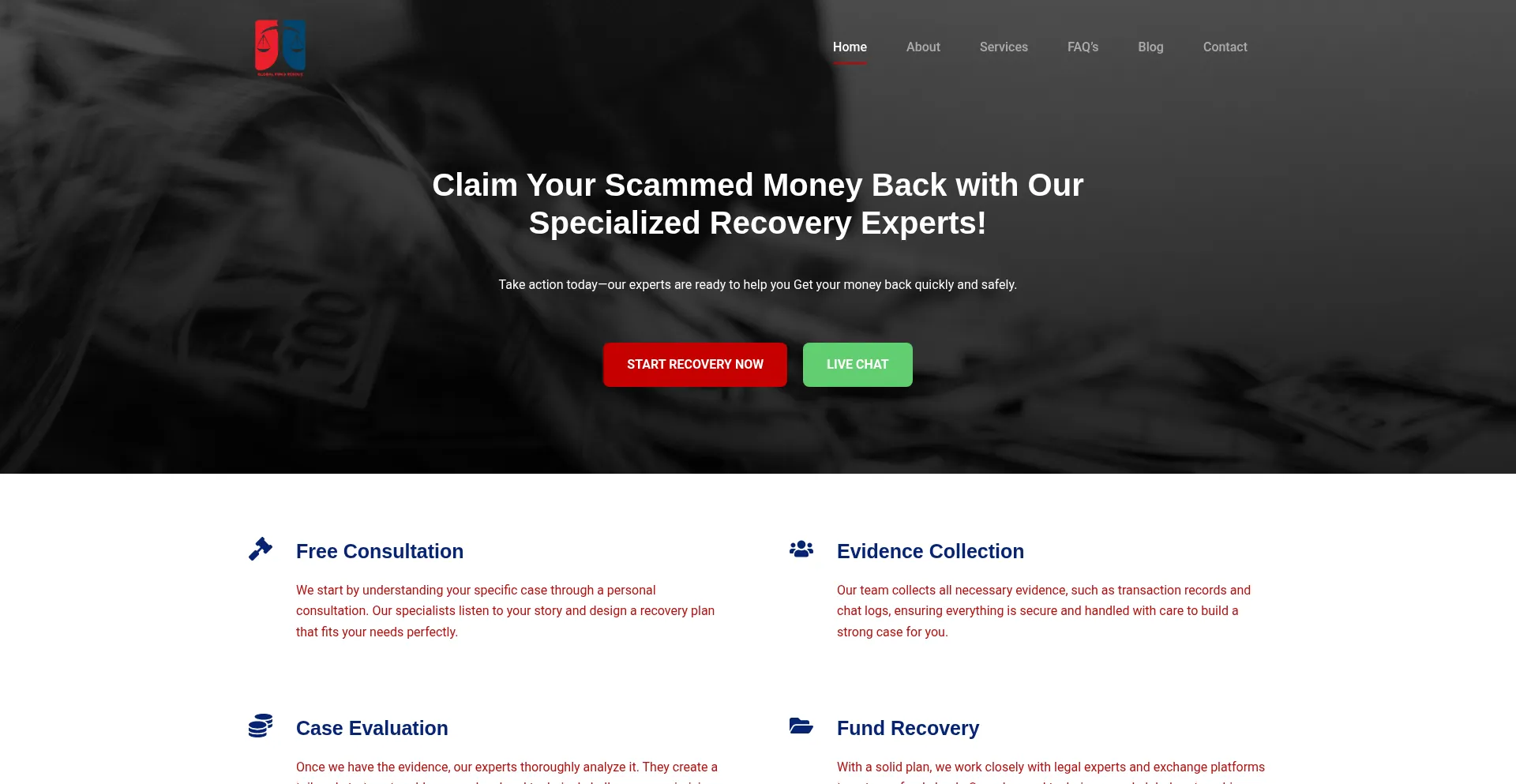 Website screenshot of Globalfundrescue.com