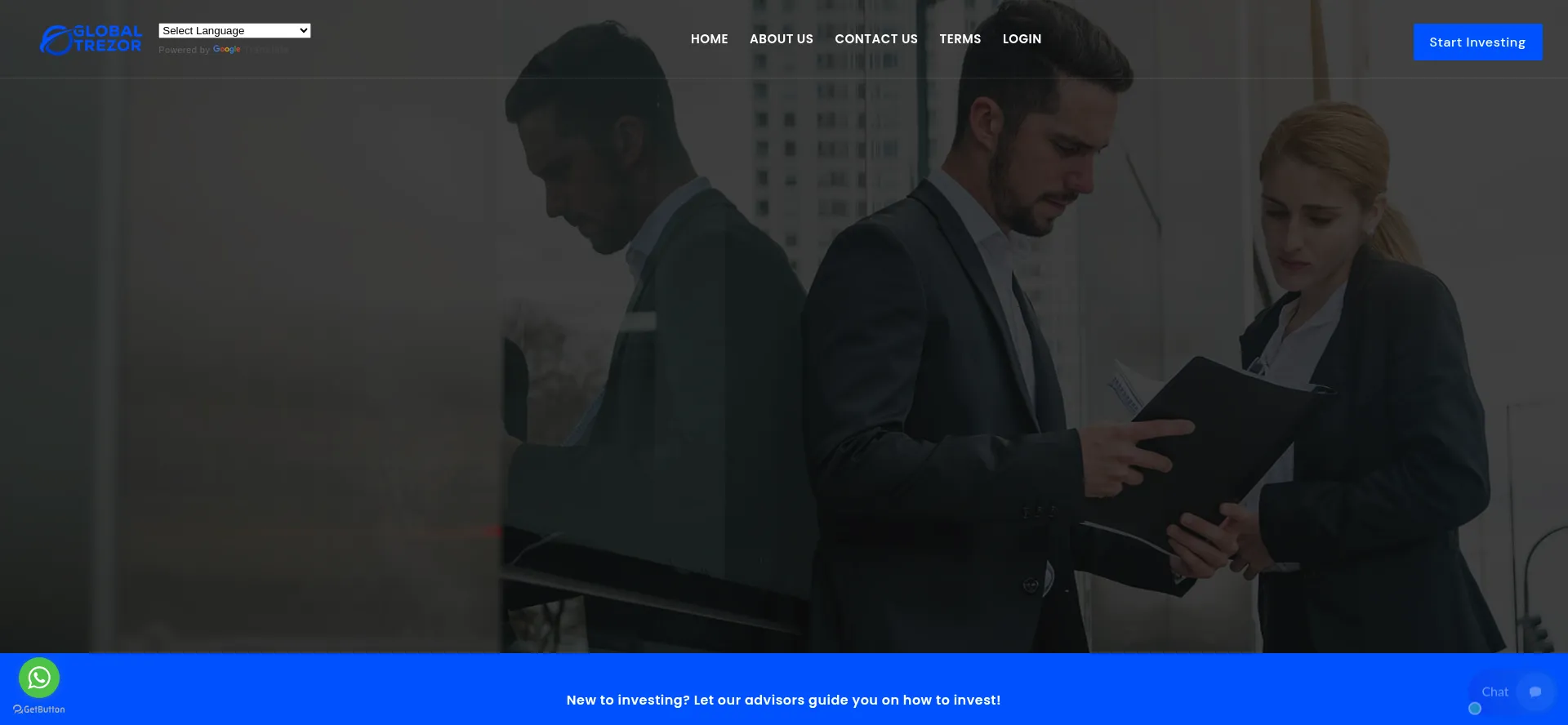 Website screenshot of Globaltrezor.org