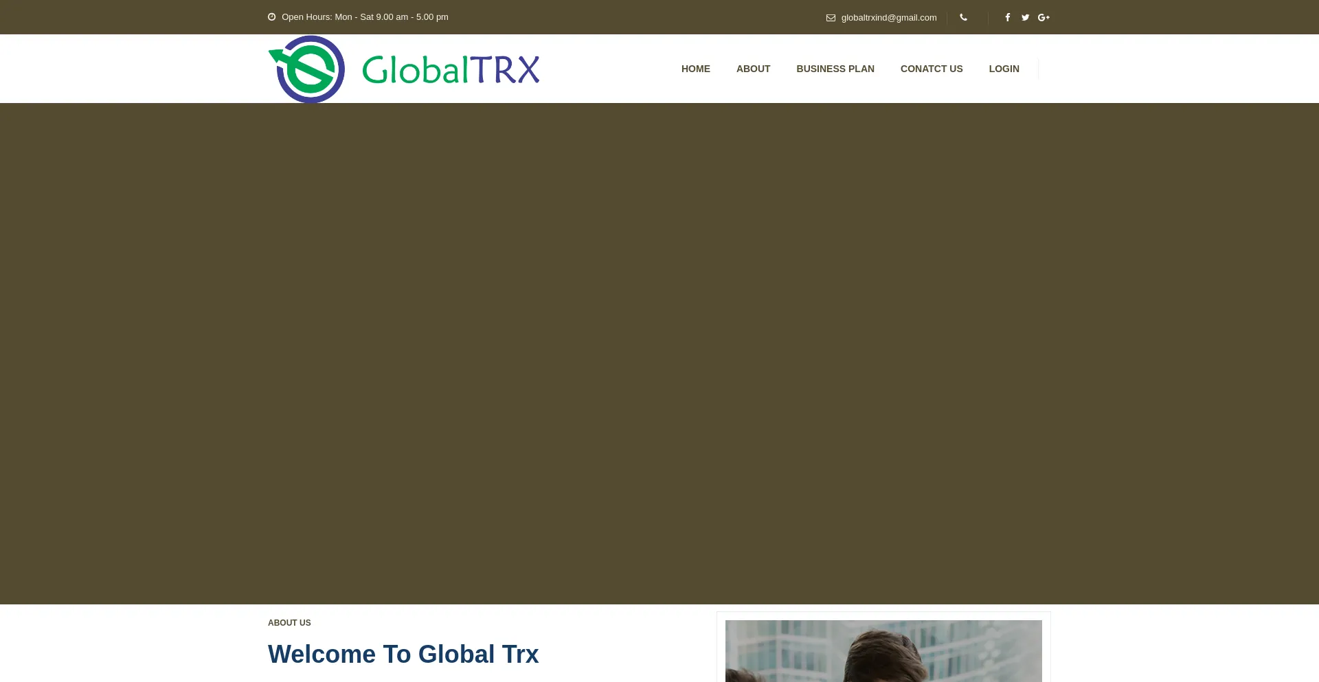 Website screenshot of Globaltrx.in