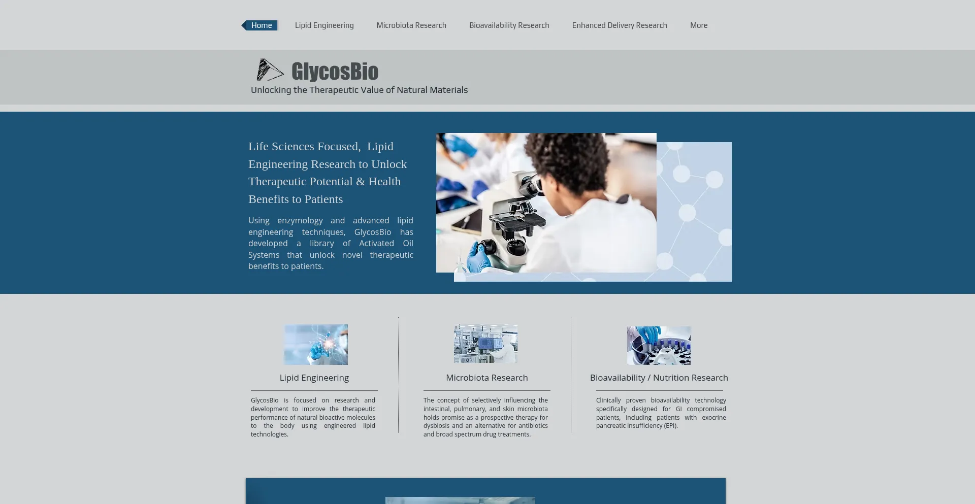 Website screenshot of Glycosbio.com