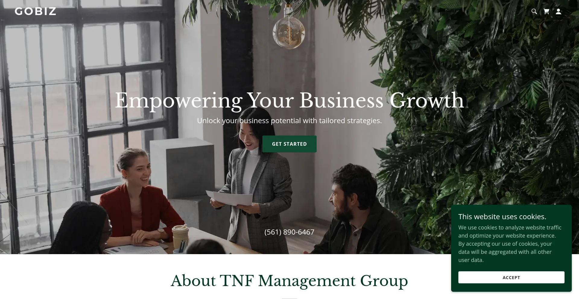 Website screenshot of Gobiz.guru