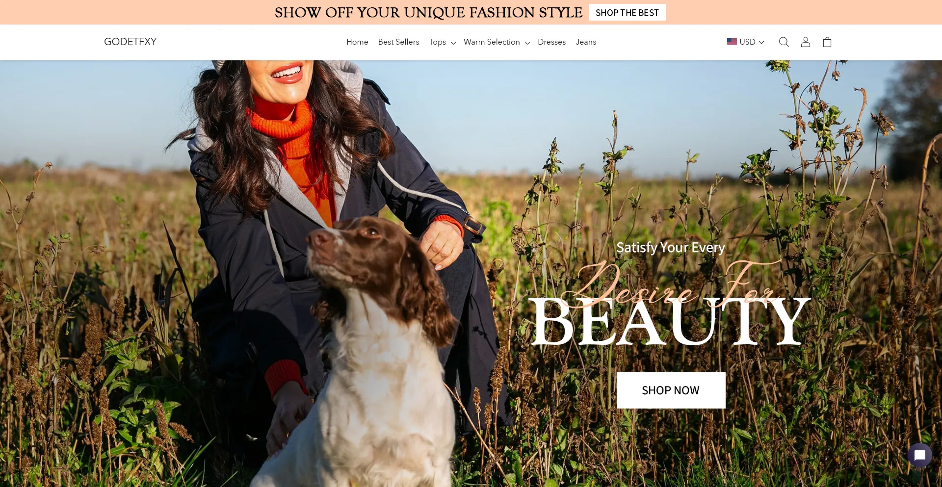 Website screenshot of Godetfxy.com