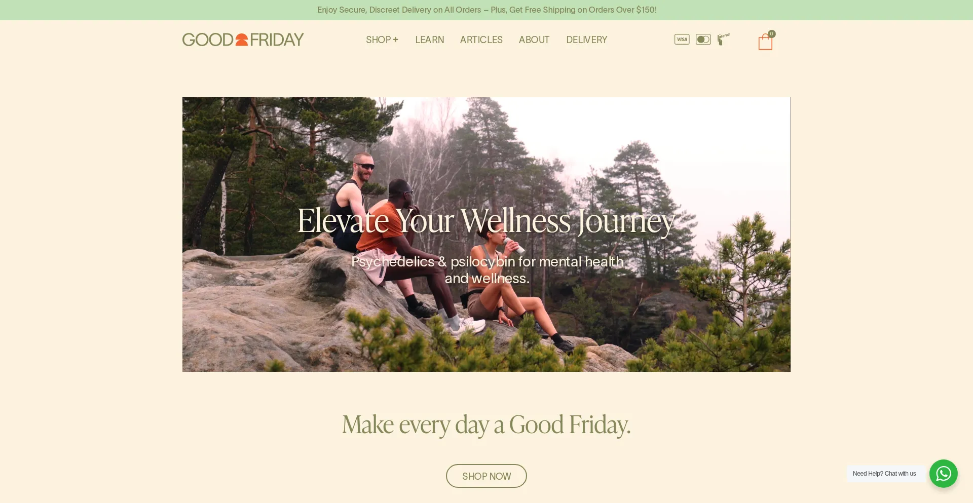 Website screenshot of Goodfridaywellness.com