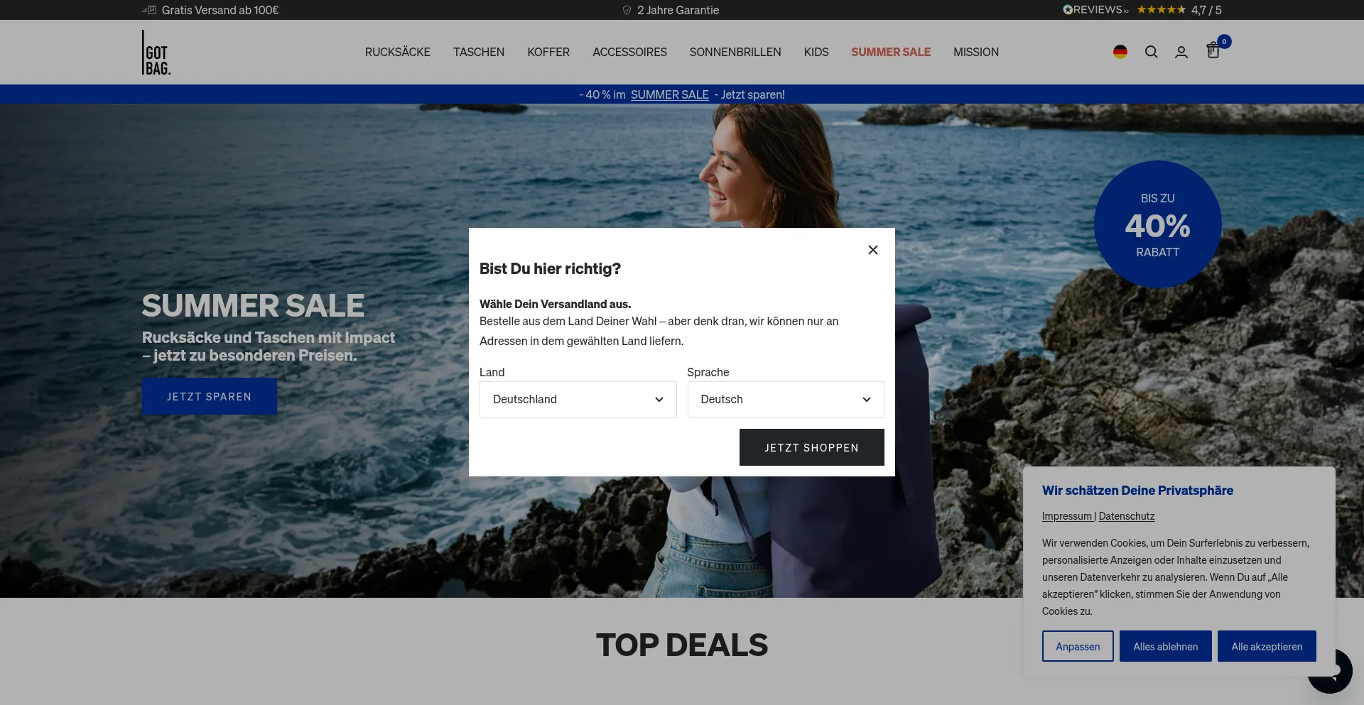 Website screenshot of Got-bag.com