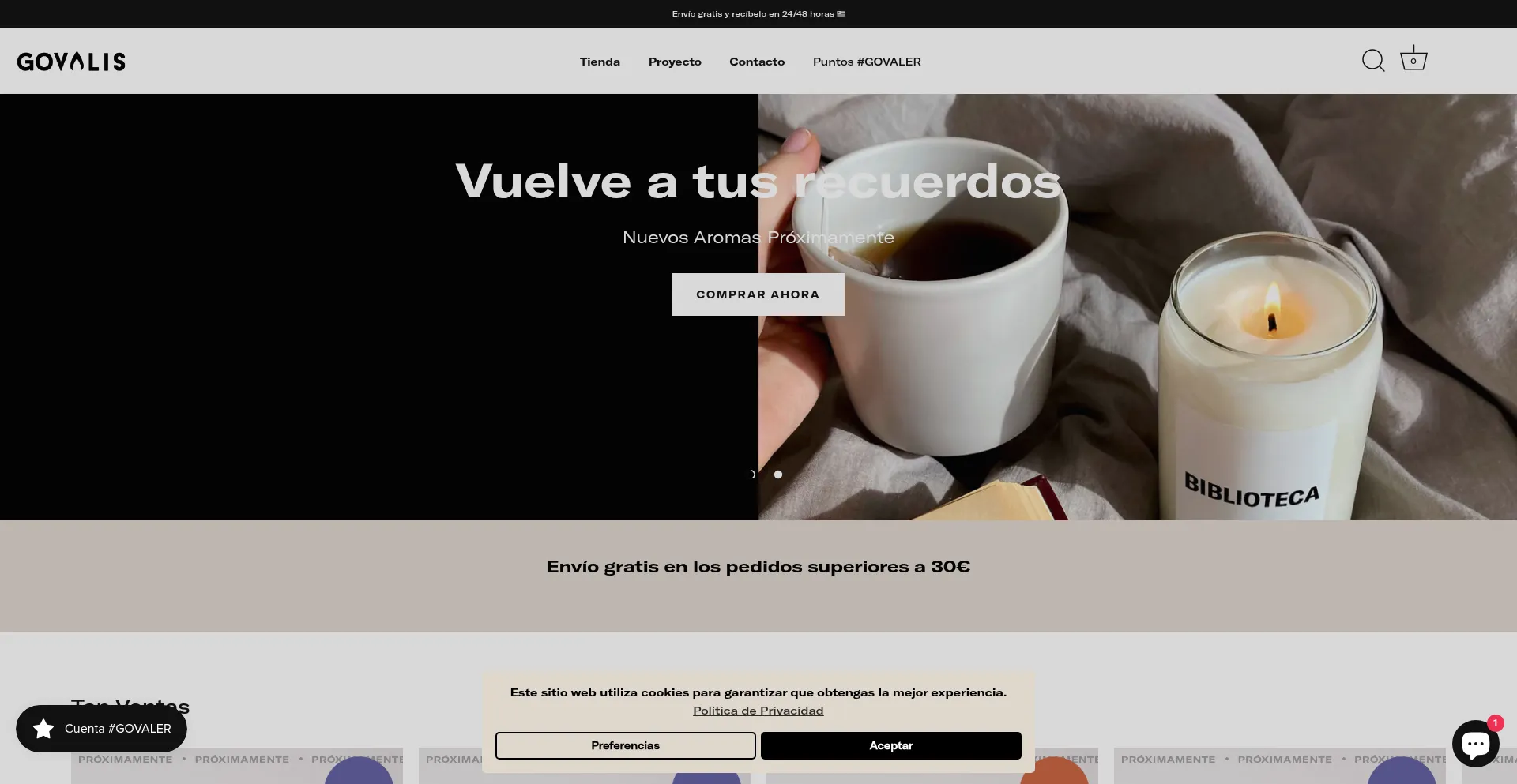 Website screenshot of Govalis.com