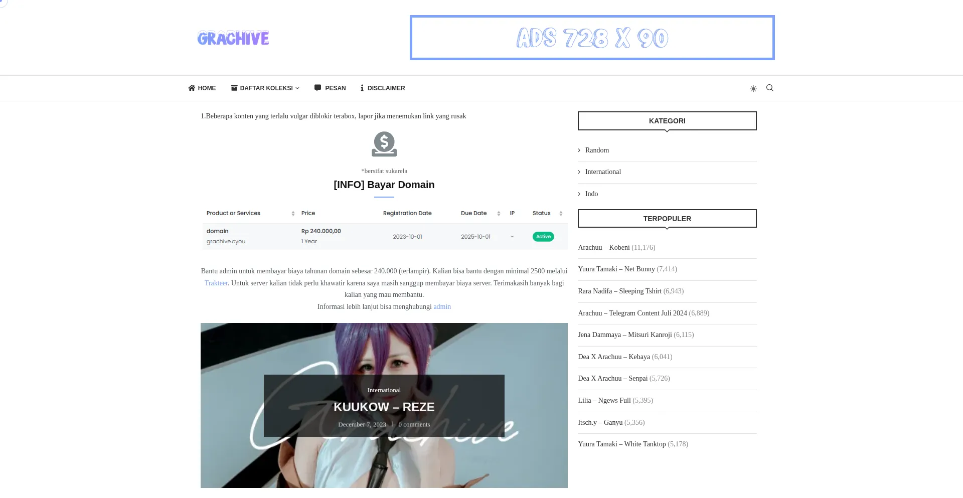 Website screenshot of Grachive.cyou