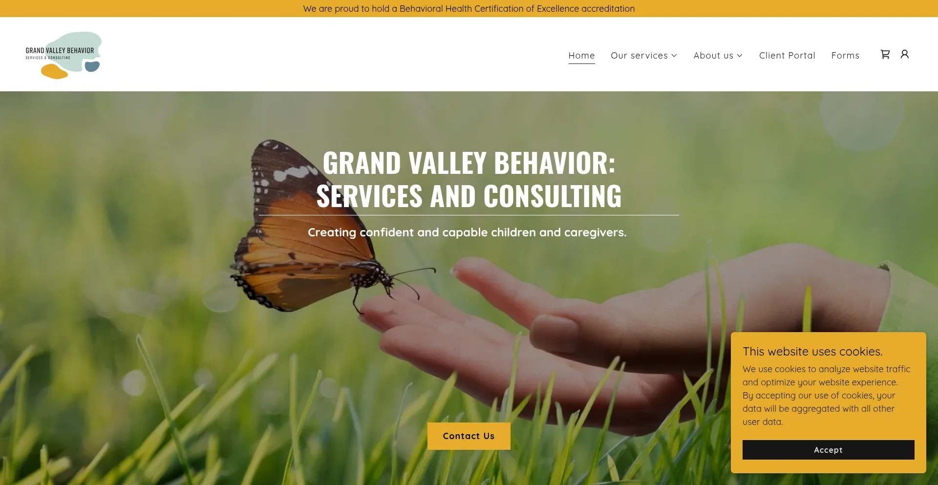 ¿És Seguro y Confiable Grandvalleybehavior.com?