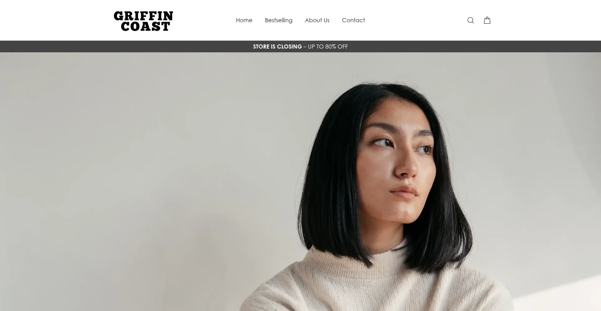 Website screenshot of Griffin-coast.com
