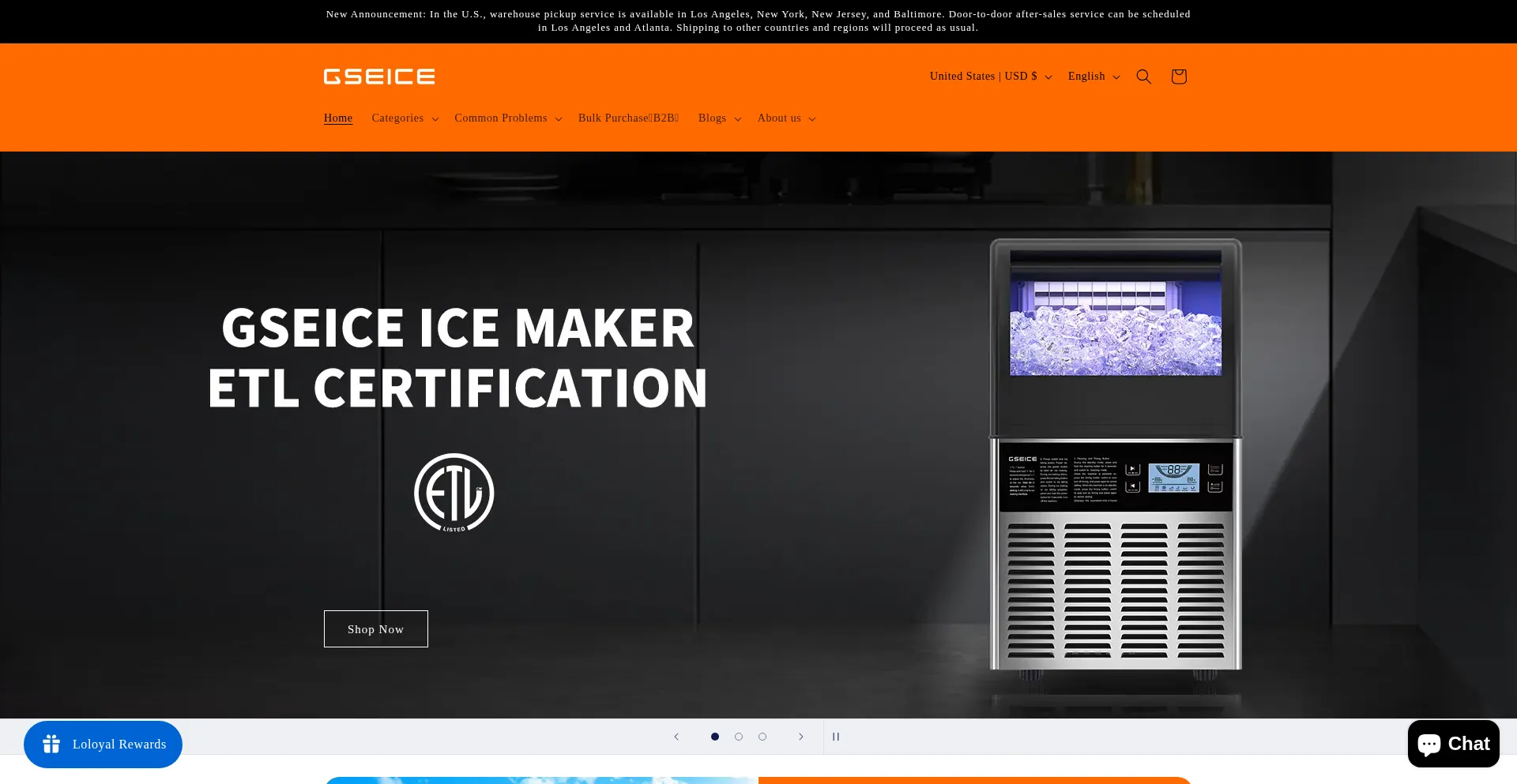 Website screenshot of Gseice.com