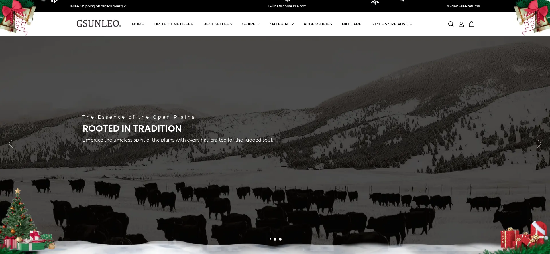 Website screenshot of Gsunleo.com
