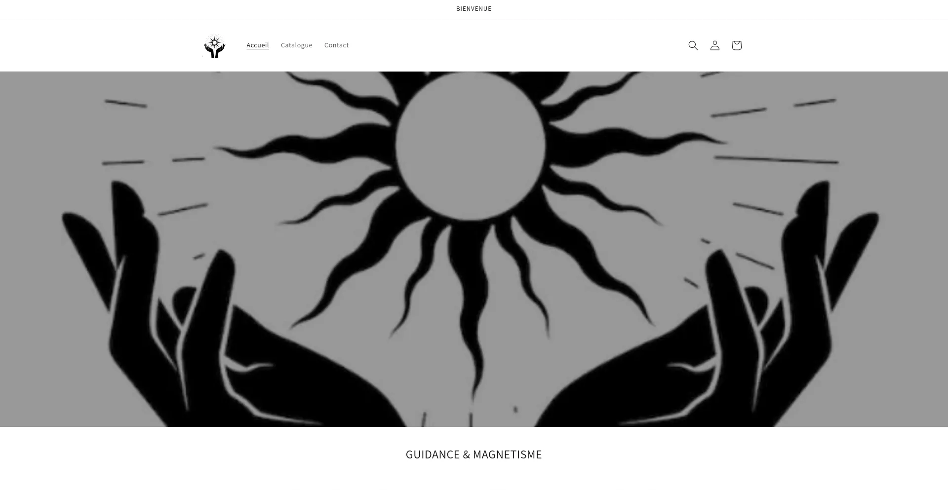 Website screenshot of Guidanceetmagnetisme.com