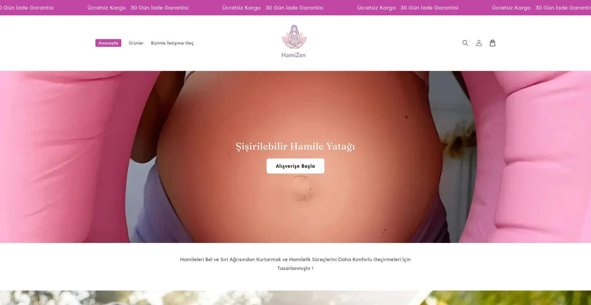 Website screenshot of Hamizen.com