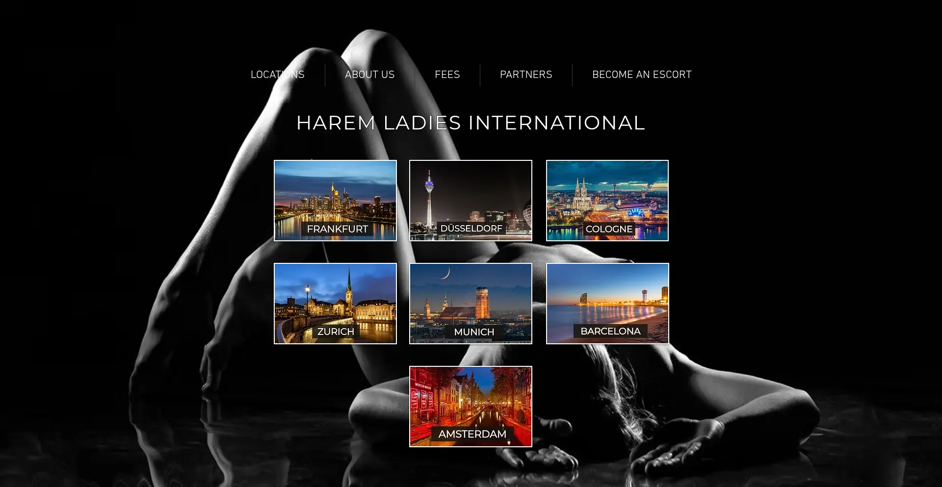 ¿És Seguro y Confiable Harem-ladies.com?