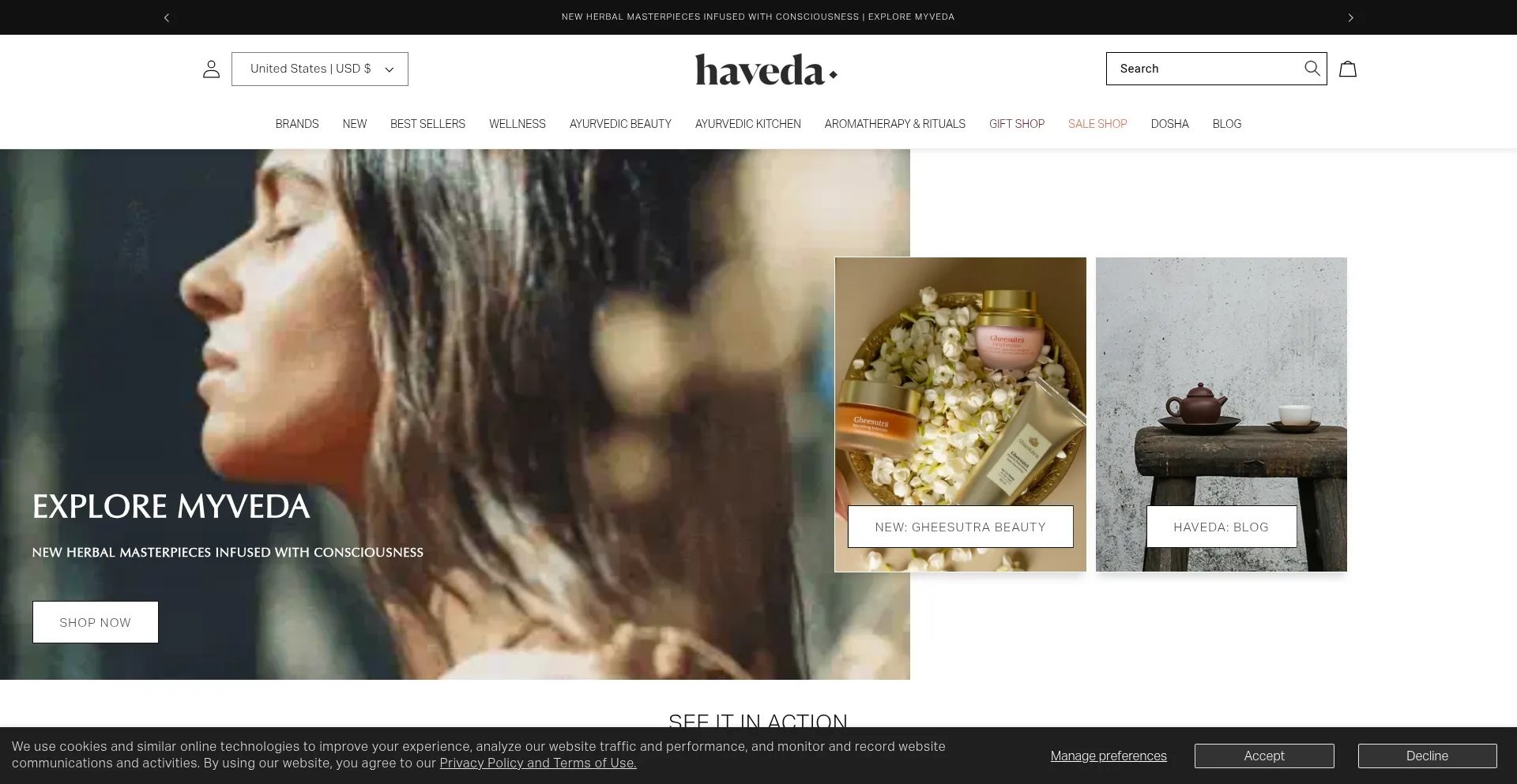 Website screenshot of Haveda.com