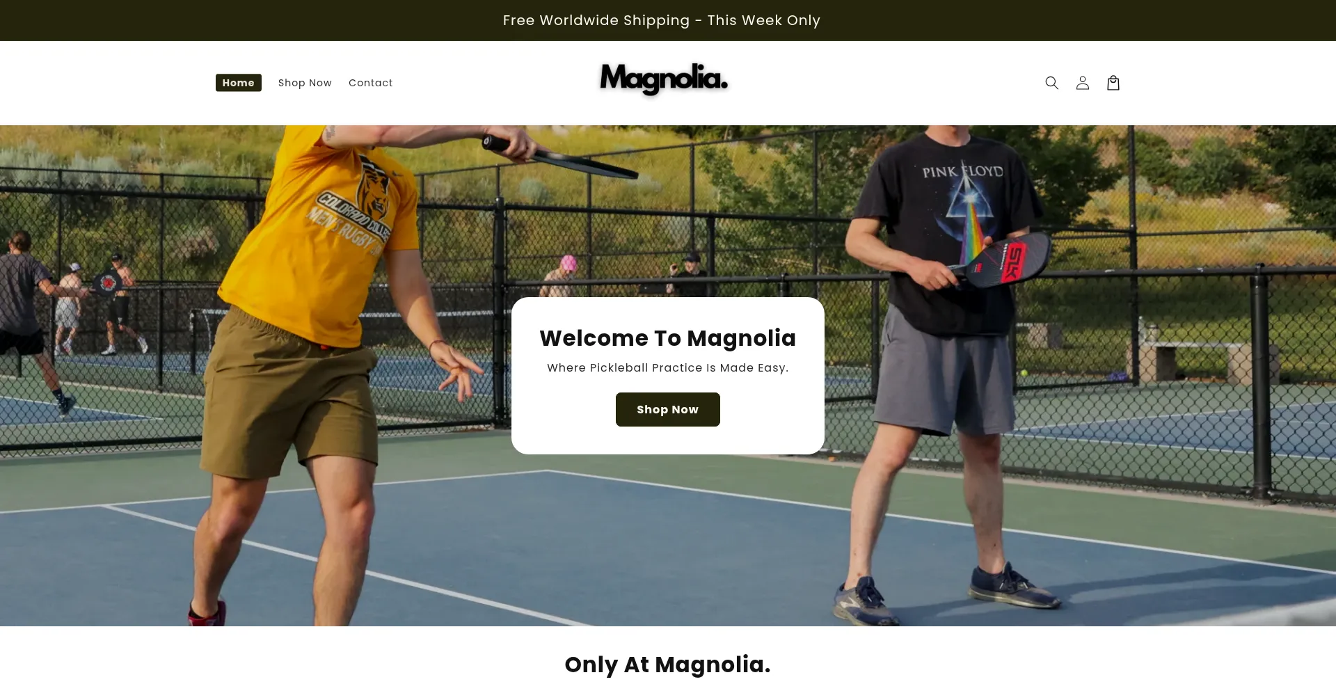 ¿És Seguro y Confiable Havenofmagnolia.com?