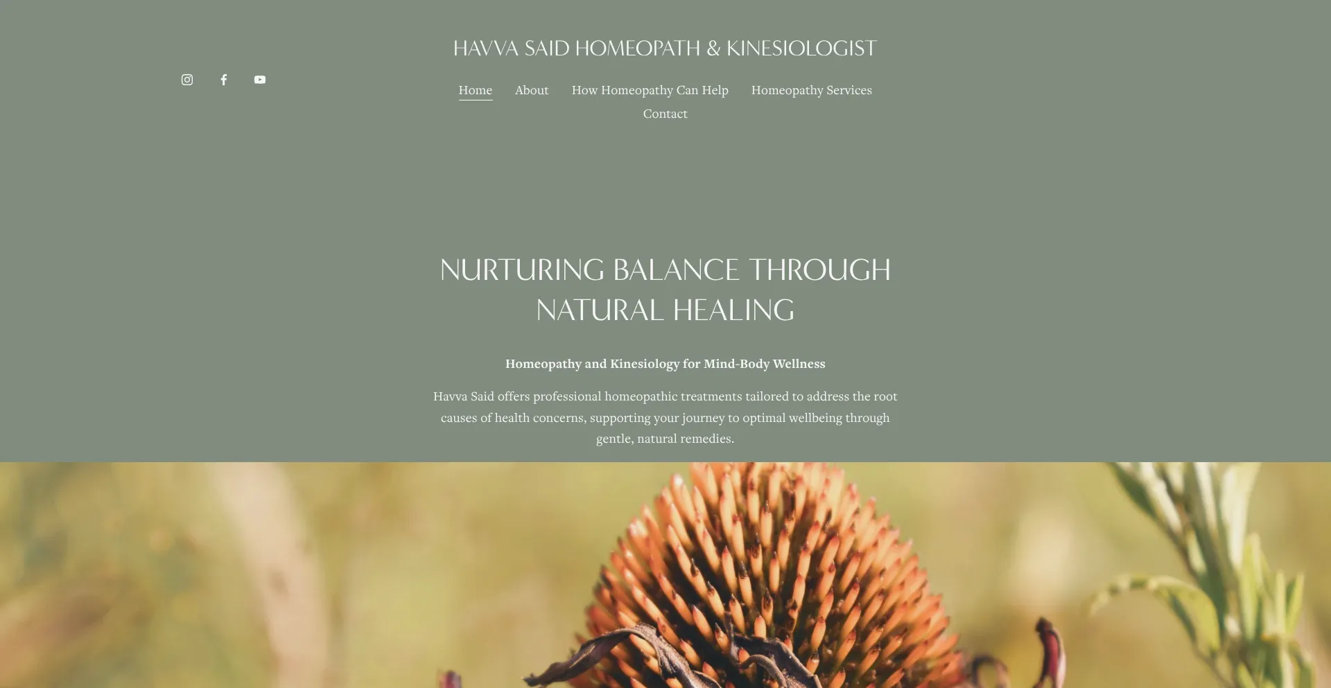 Website screenshot of Havvahomeopathy.co.uk