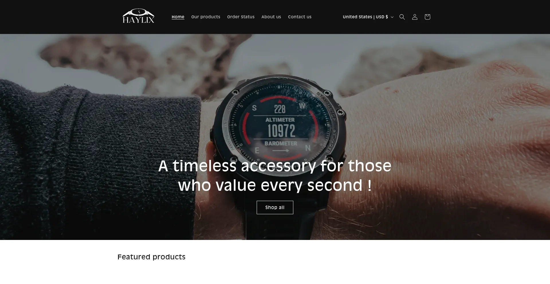 Website screenshot of Haylix.store