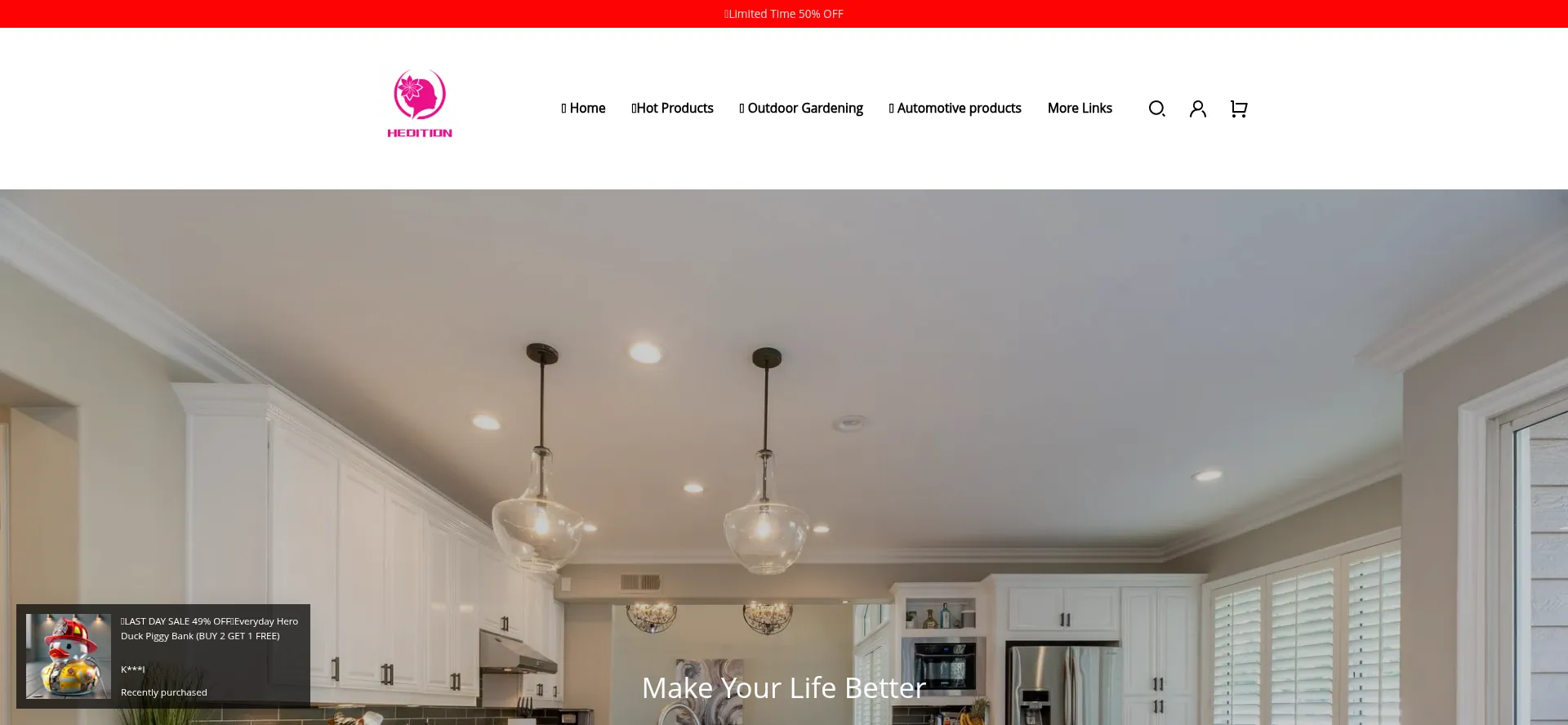 Website screenshot of Hedition.com