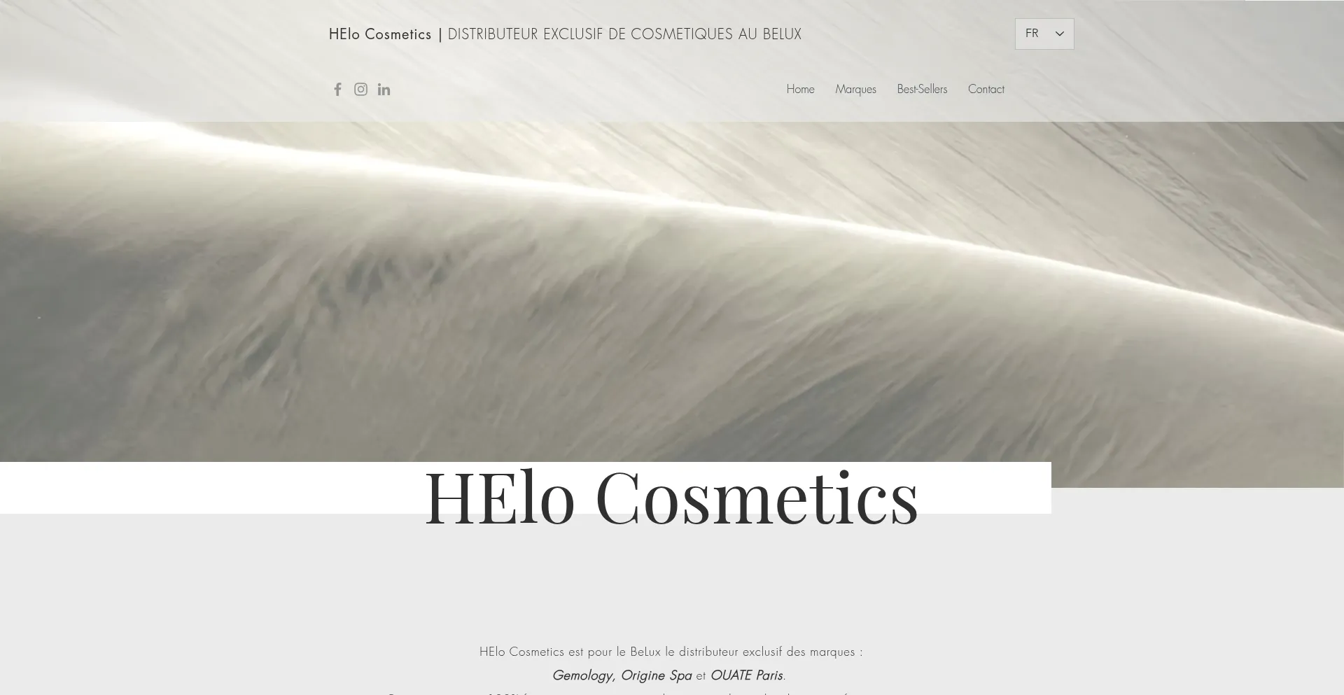 Website screenshot of Helocosmetics.com