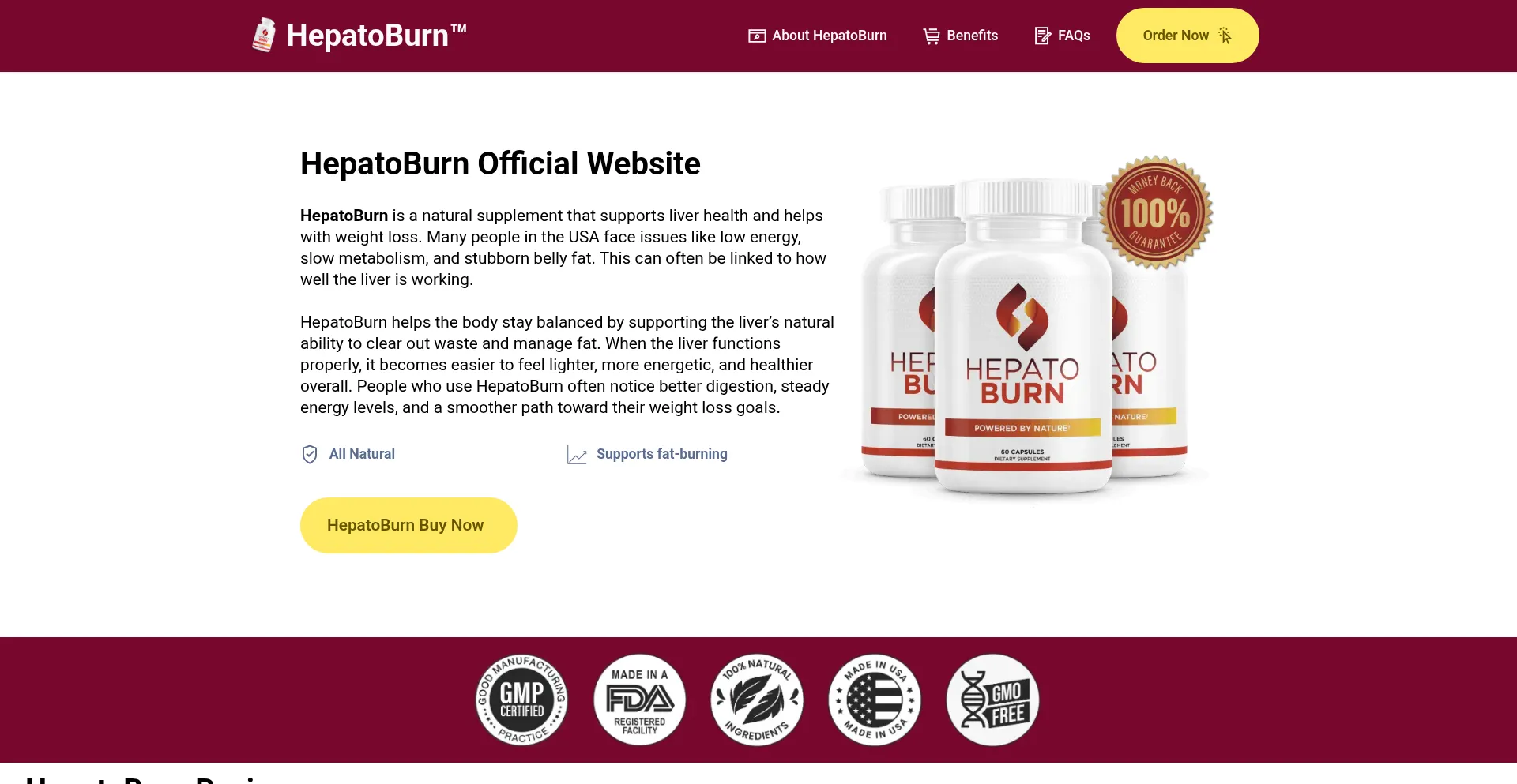 Website screenshot of Hepatooburn.us