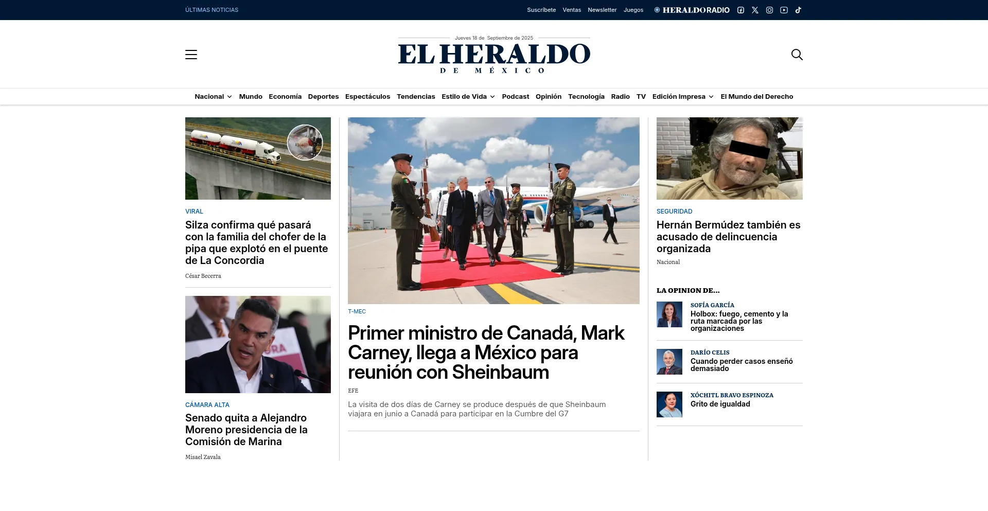 Heraldodemexico.com.mx Screenshot