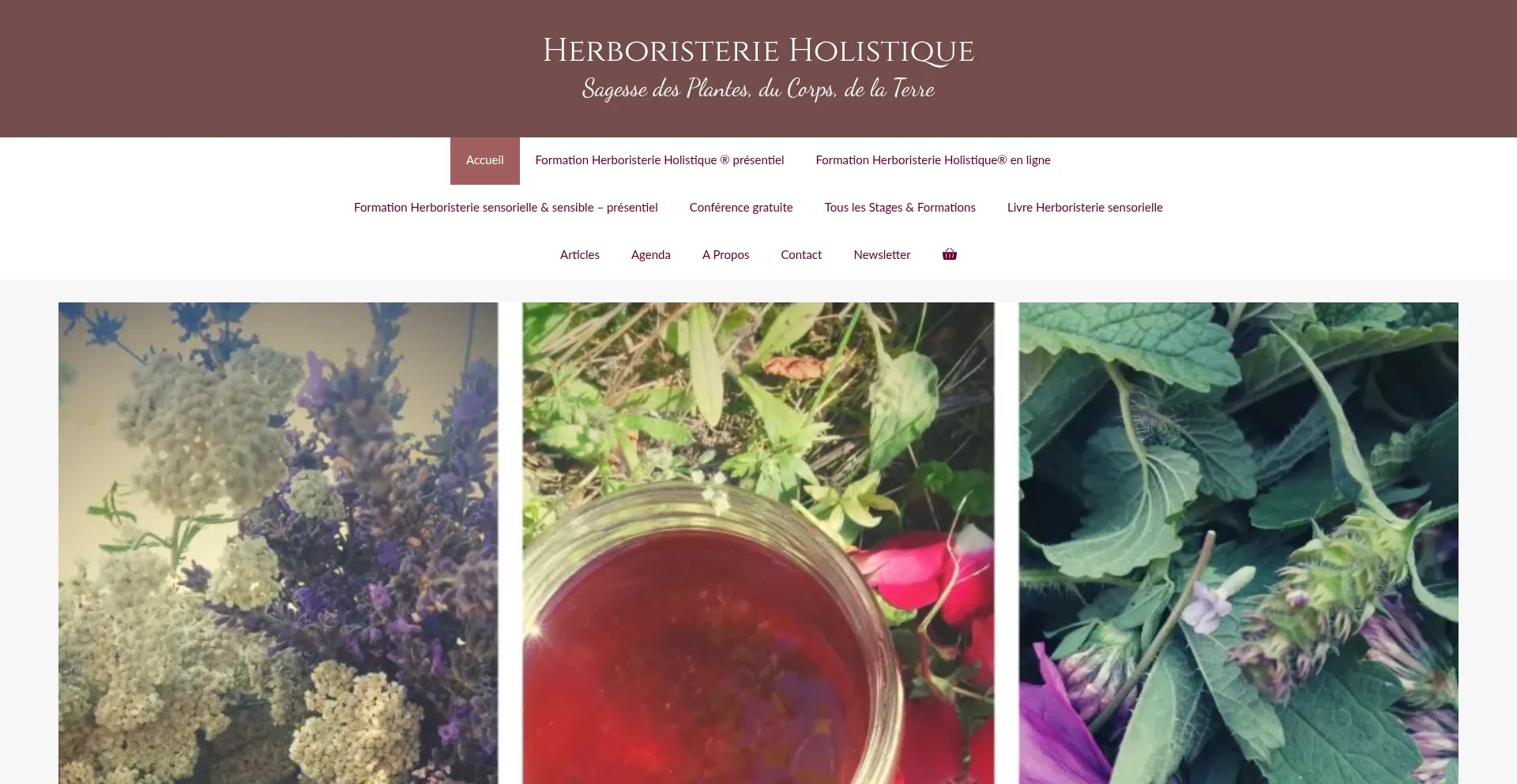 Website screenshot of Herboristerieholistique.com