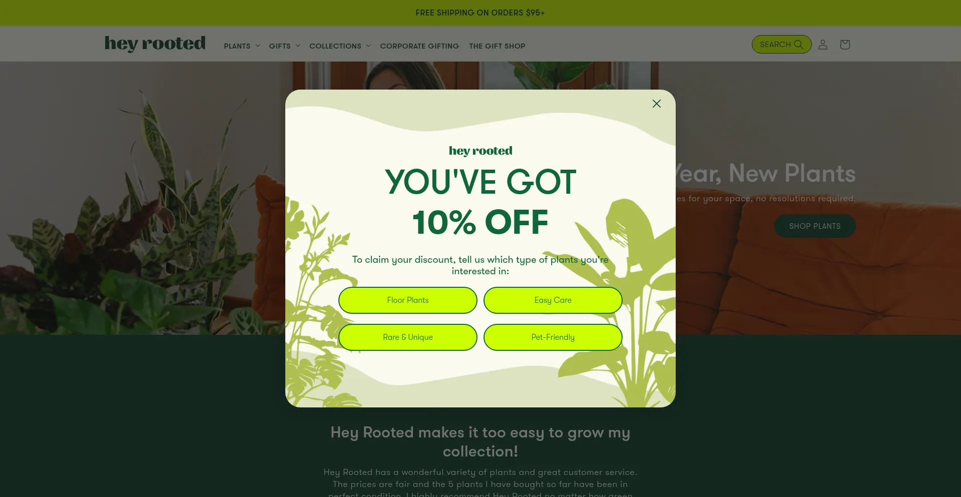 Heyrooted.com
