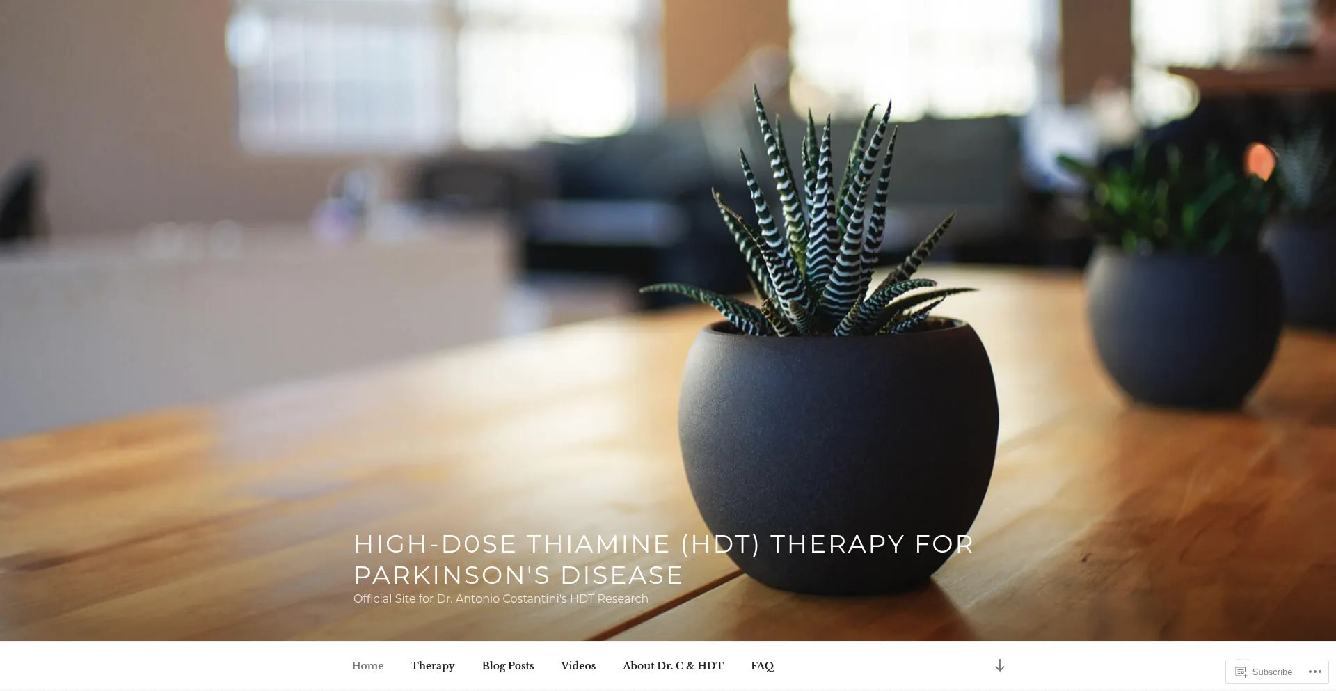 Highdosethiamine.org