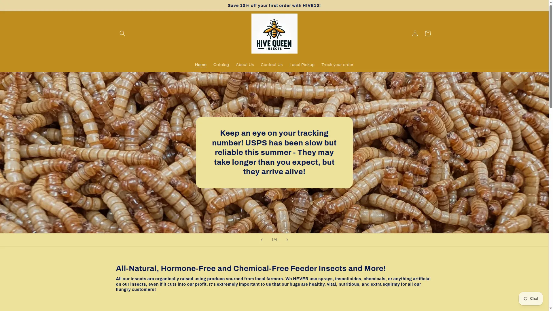 Hivequeeninsects.com