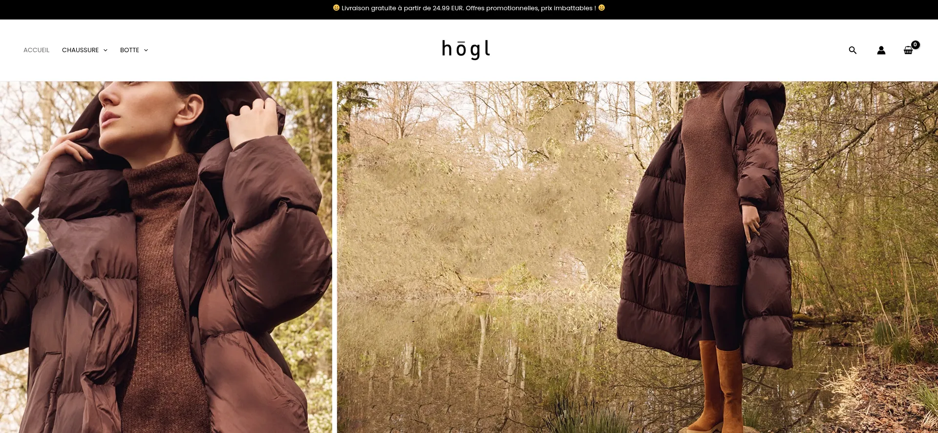 Website screenshot of Hogl-fr.com