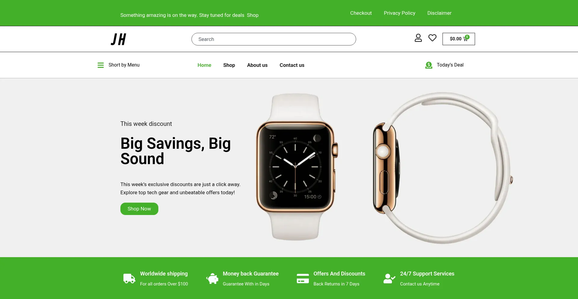 Website screenshot of Holtorfj.com