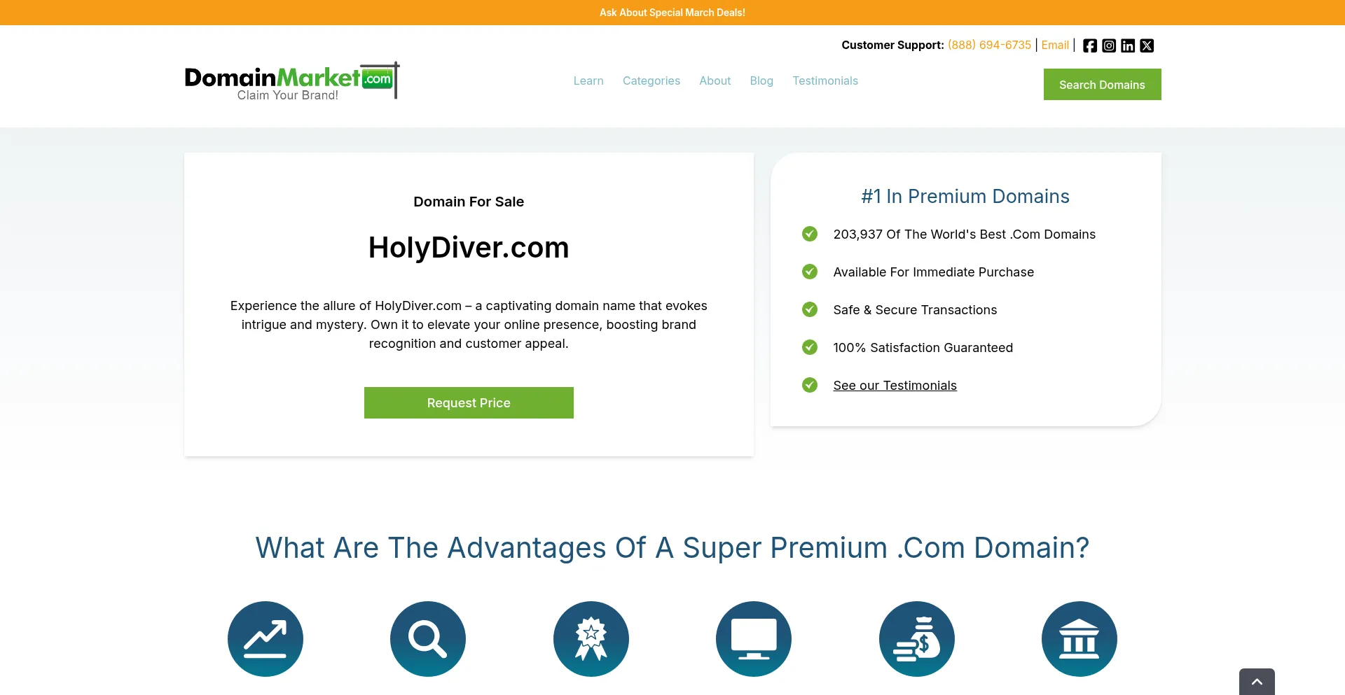 Website screenshot of Holydiver.com