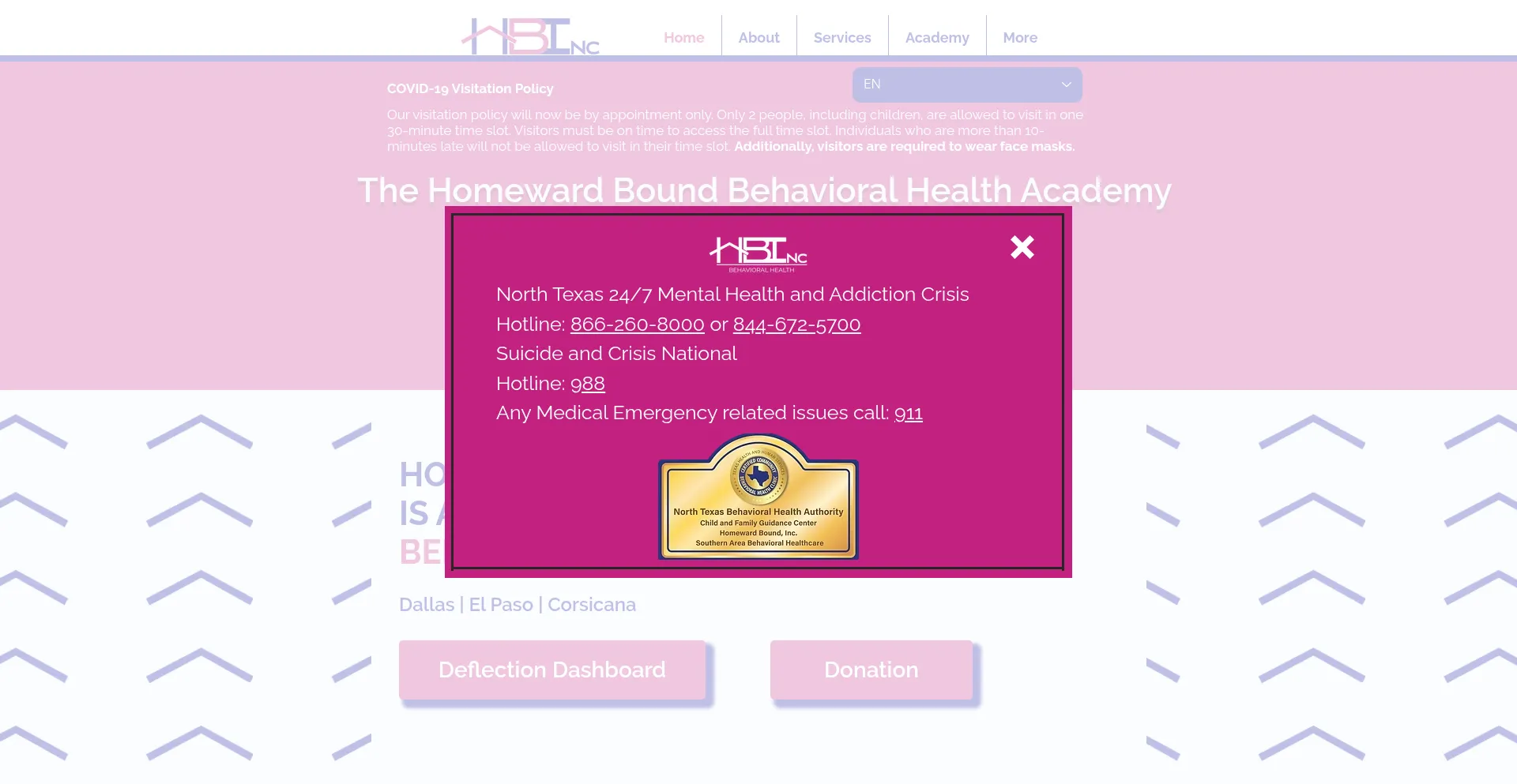 Website screenshot of Homewardboundinc.org