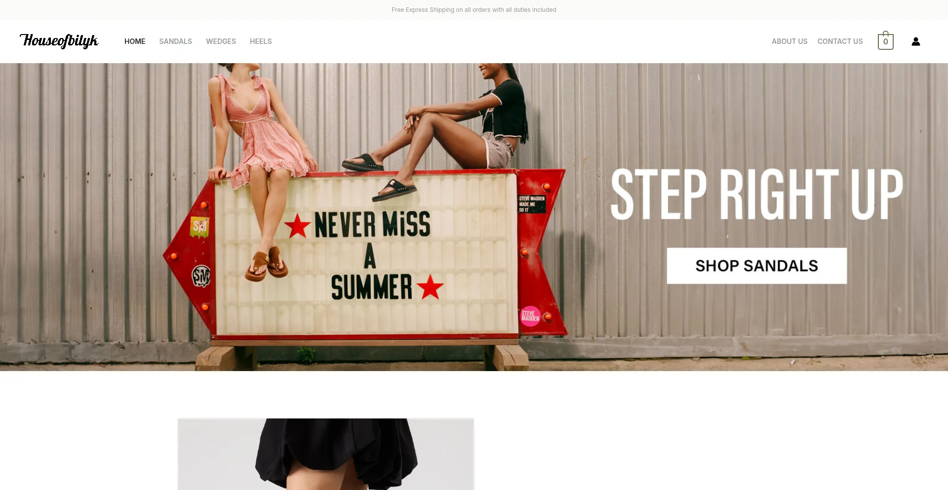 Website screenshot of Houseofbilyk.com