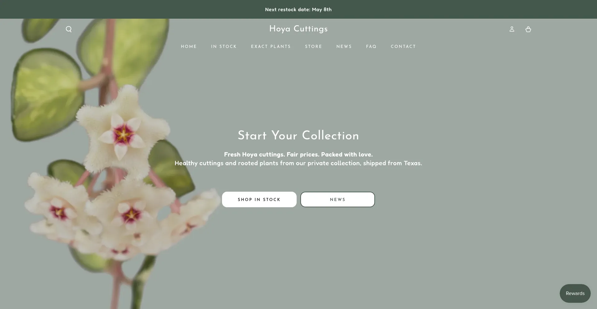 Hoyacuttings.com