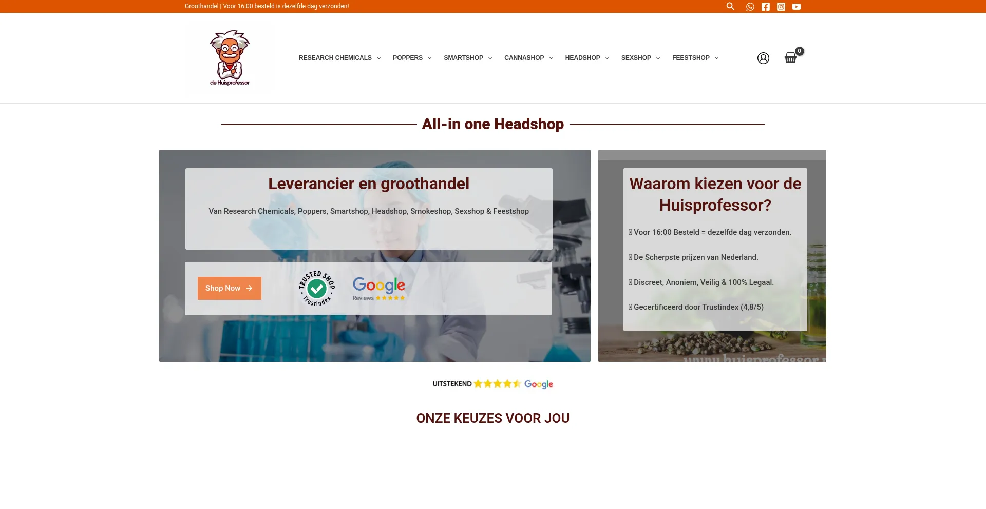 ¿És Seguro y Confiable Huisprofessor.nl?