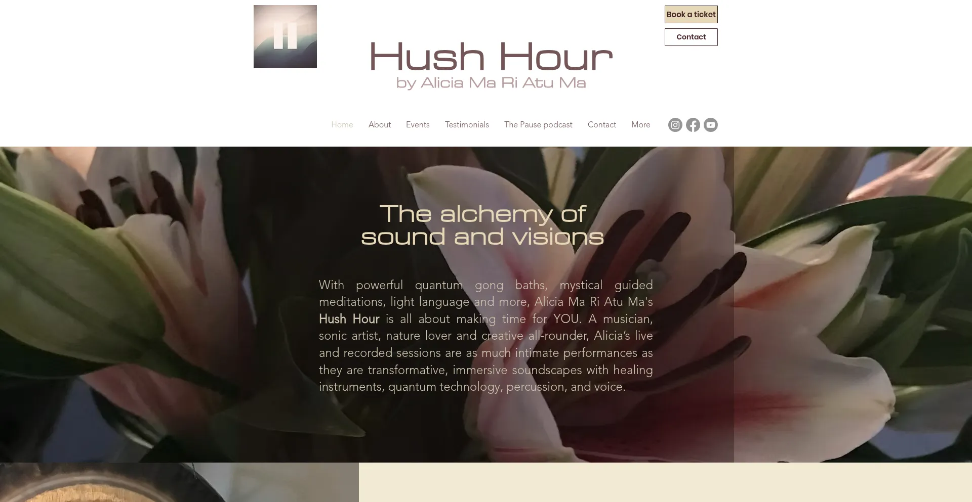 Website screenshot of Hushhour.net