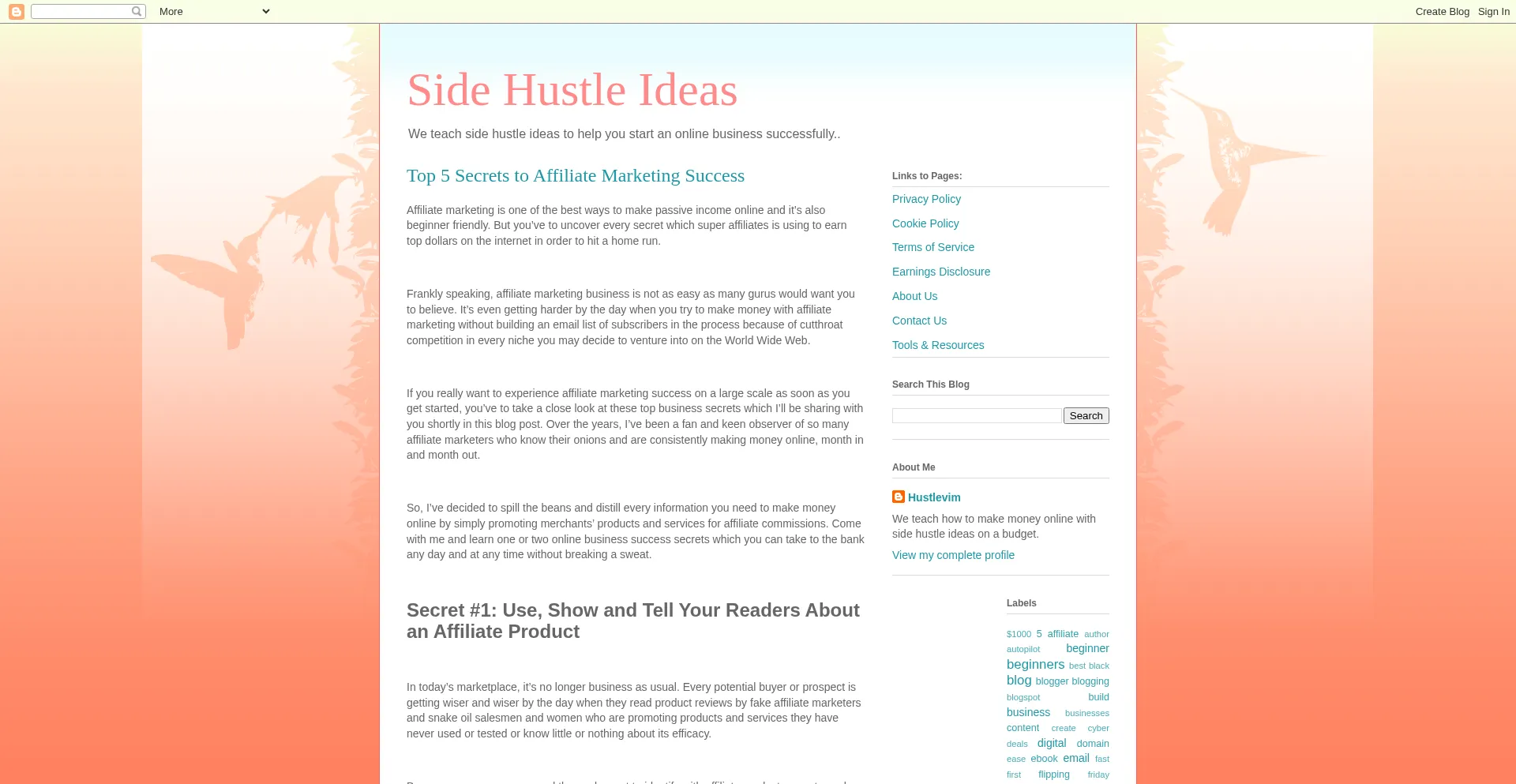 Website screenshot of Hustlevim.com