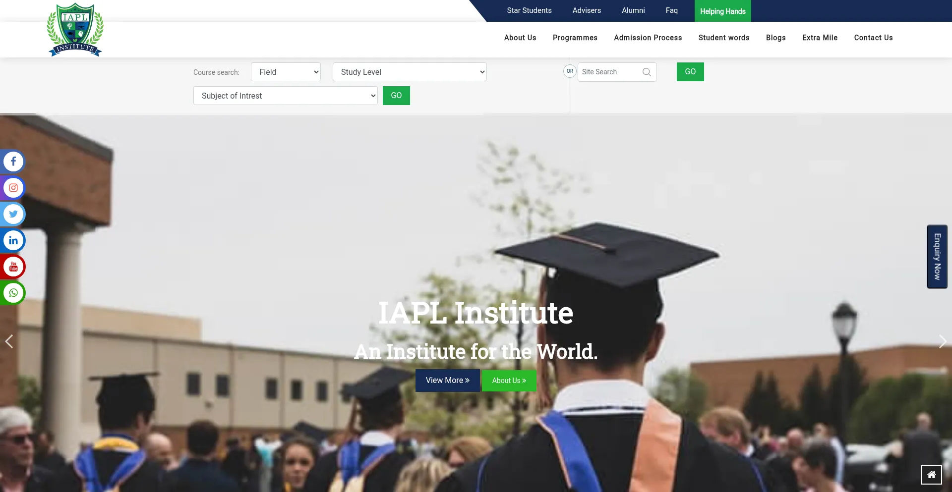 Website screenshot of Iapl.institute