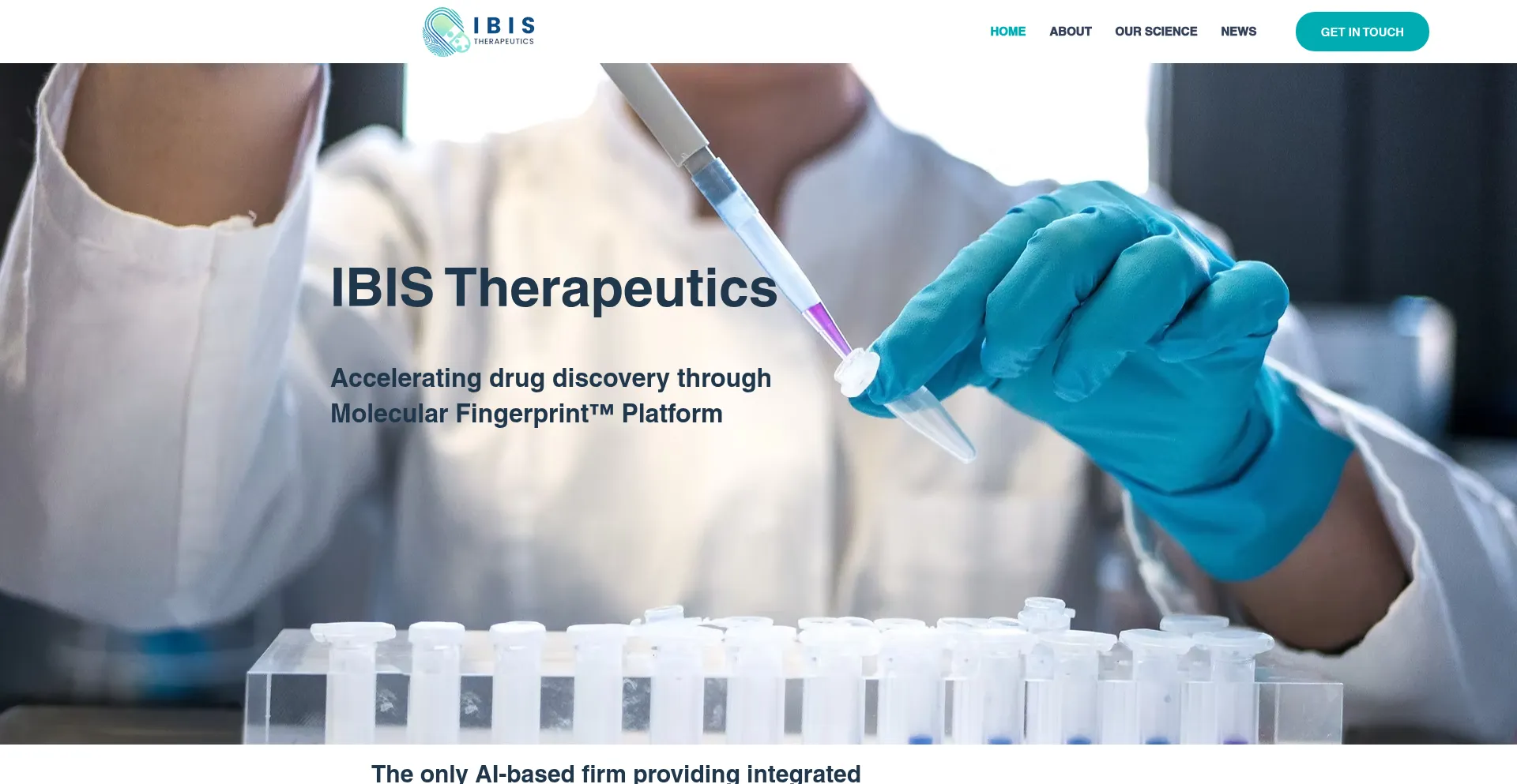 Website screenshot of Ibistx.com